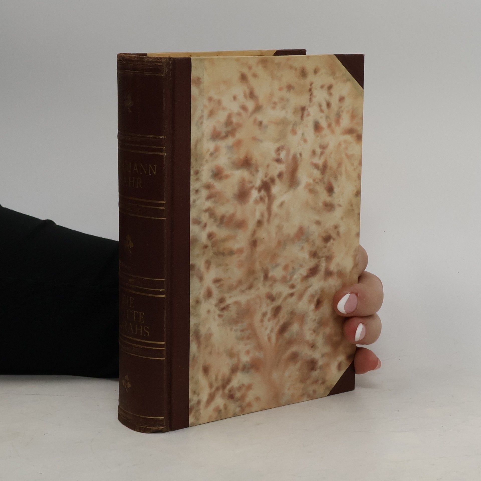 Hermann Bahr Die Rotte Korahs