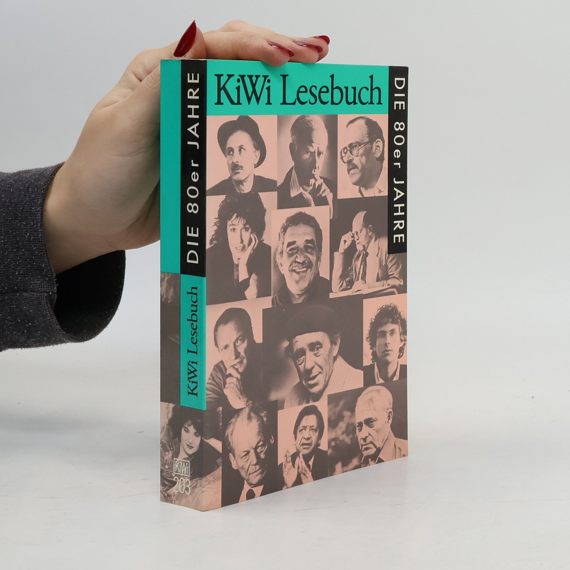 Herbert Achternbusch KiWi Lesebuch. Die 80er Jahre