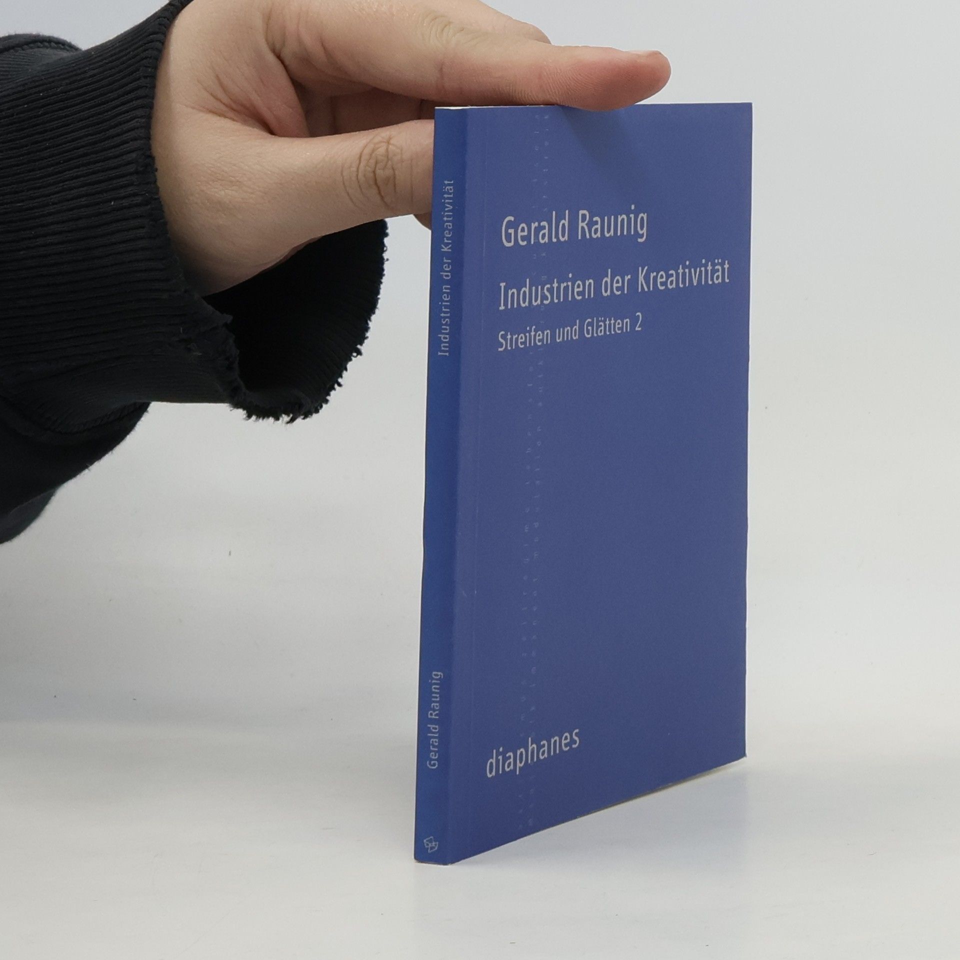 Gerald Raunig Streifen und Glätten 2