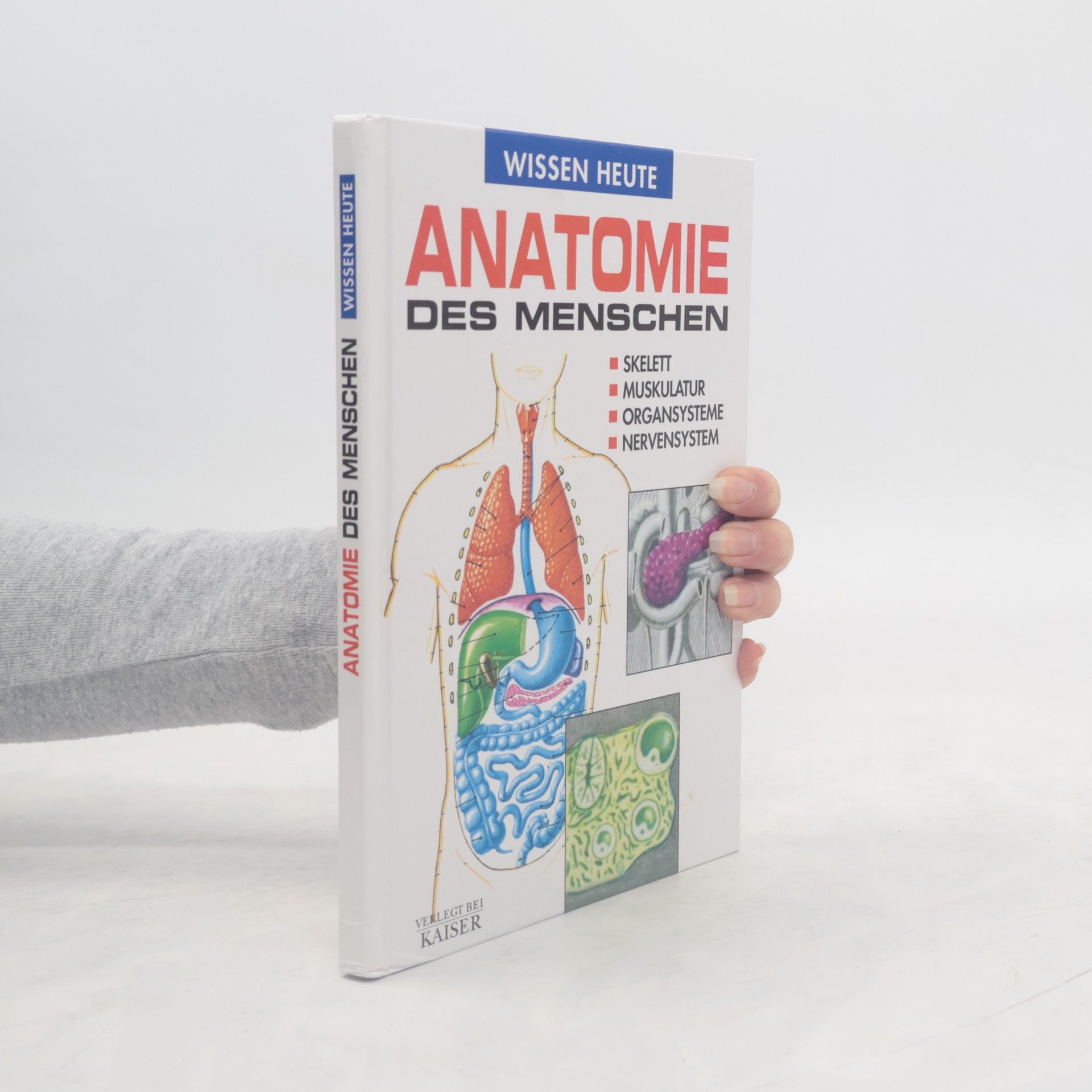 Autorenkollektiv Anatomie des menschen