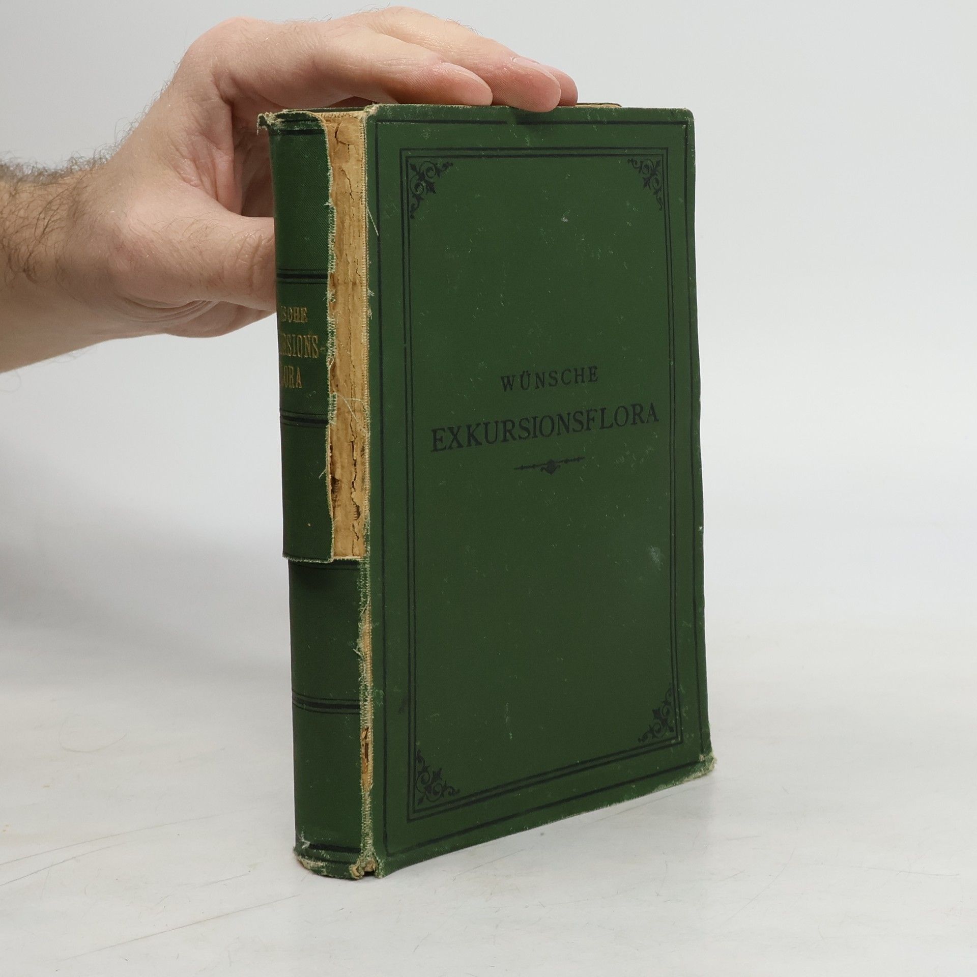 Otto Wünsche Exkursionsflora für das Königreich Sachsen und die angerenzenden Gegenden