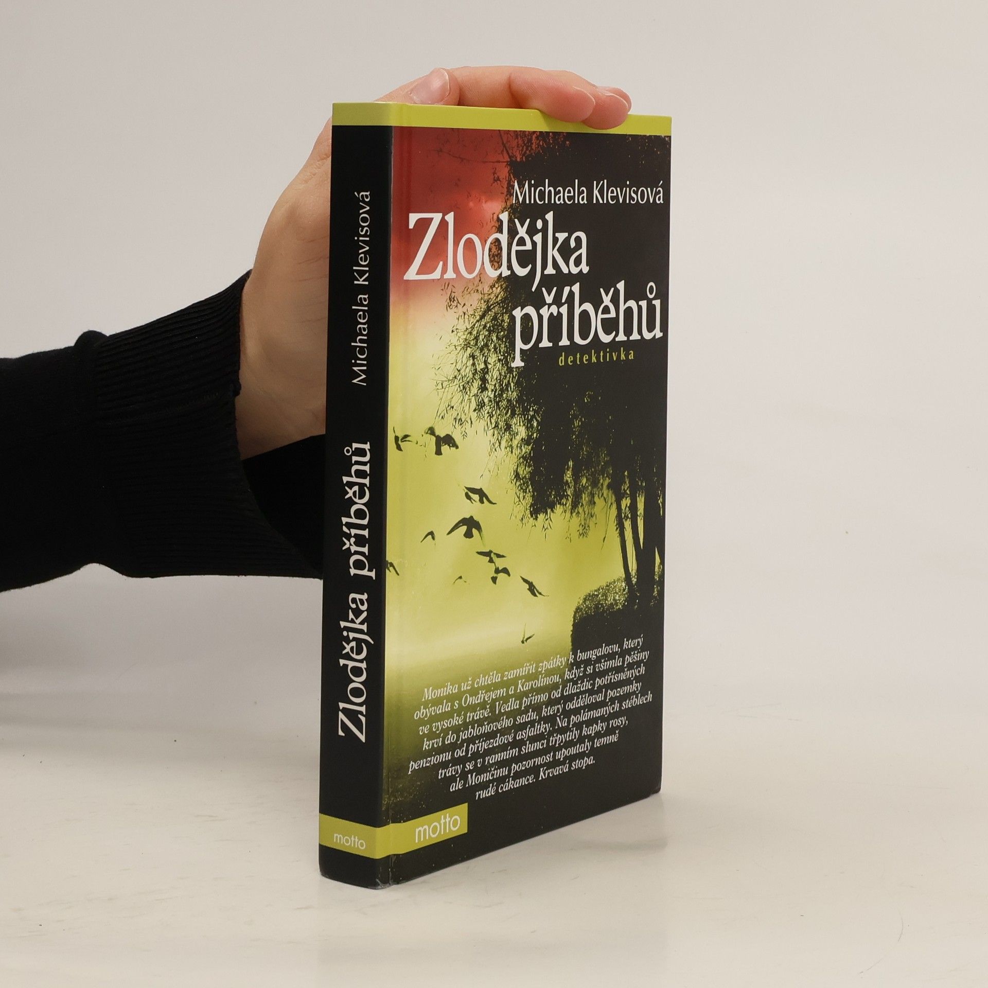 Michaela Klevisová Zlodějka příběhů