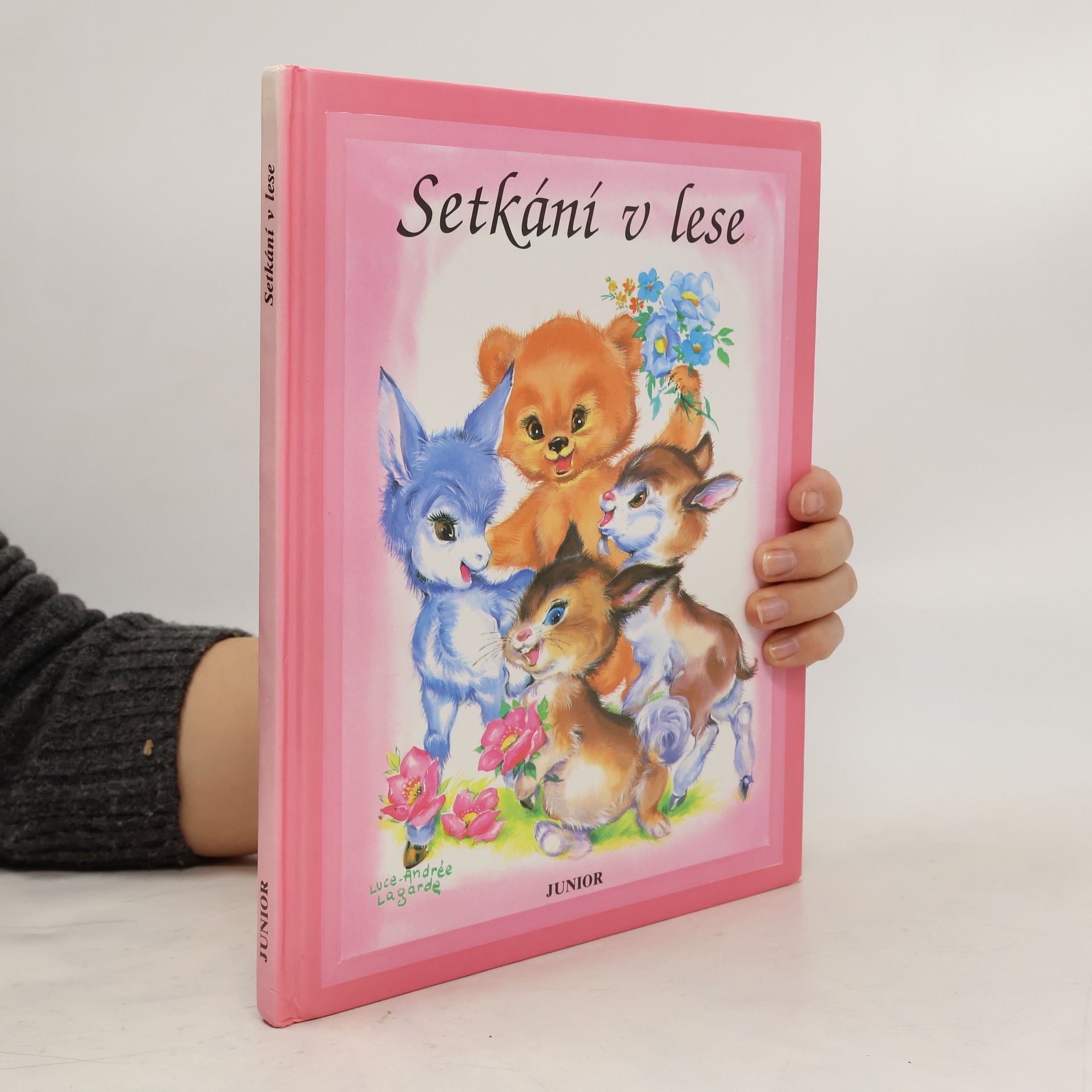 Luce Andrée Lagarde Setkání v lese