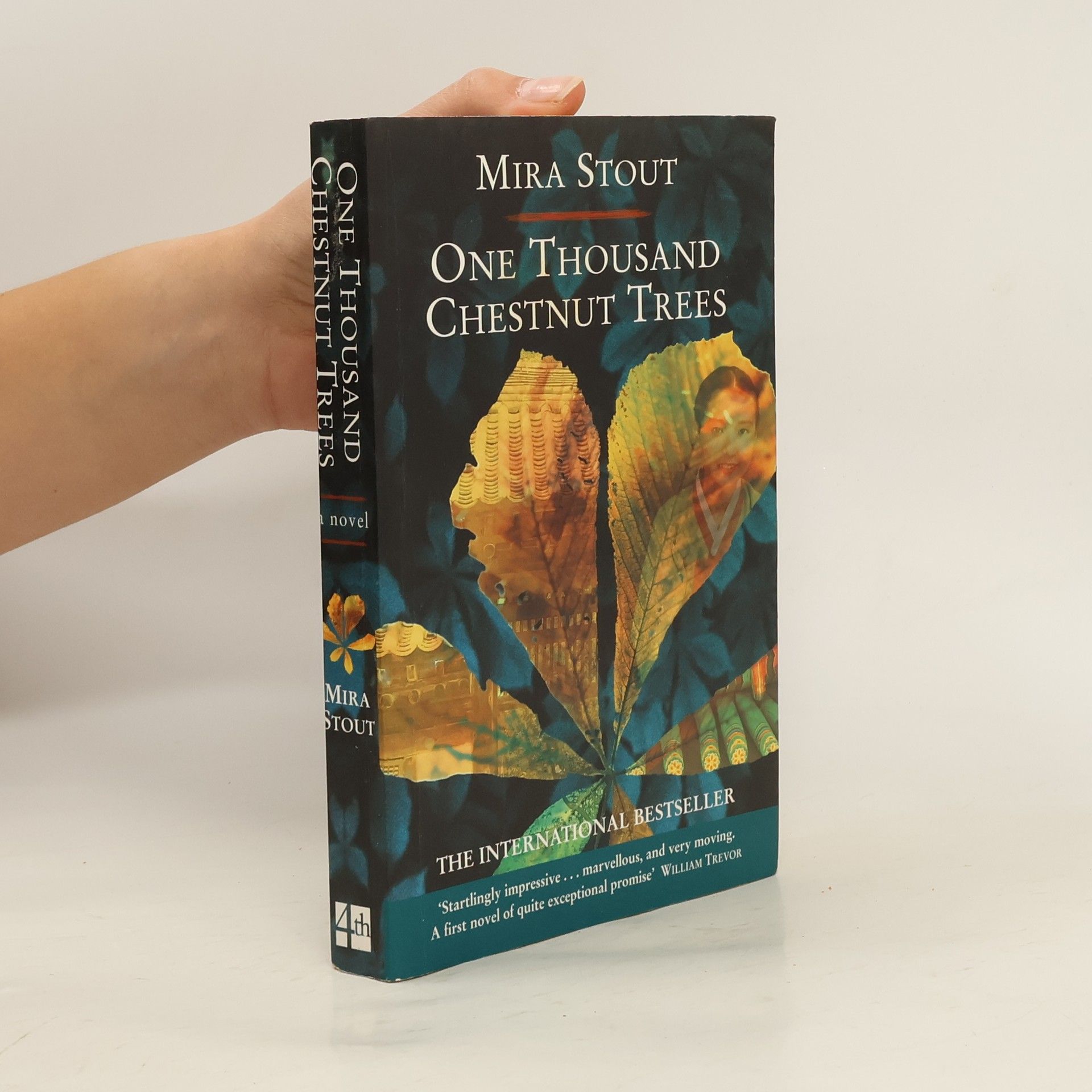 Mira Stout One Thousand Chestnut Trees