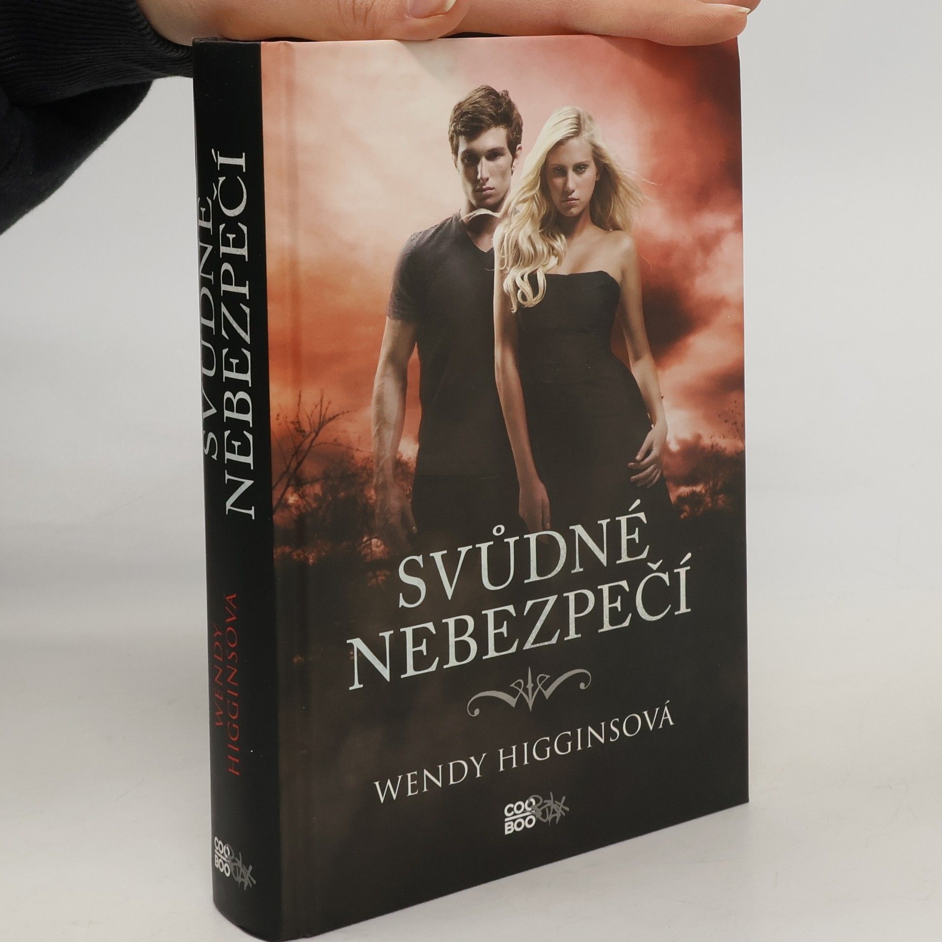 Wendy Higgins Svůdné nebezpečí