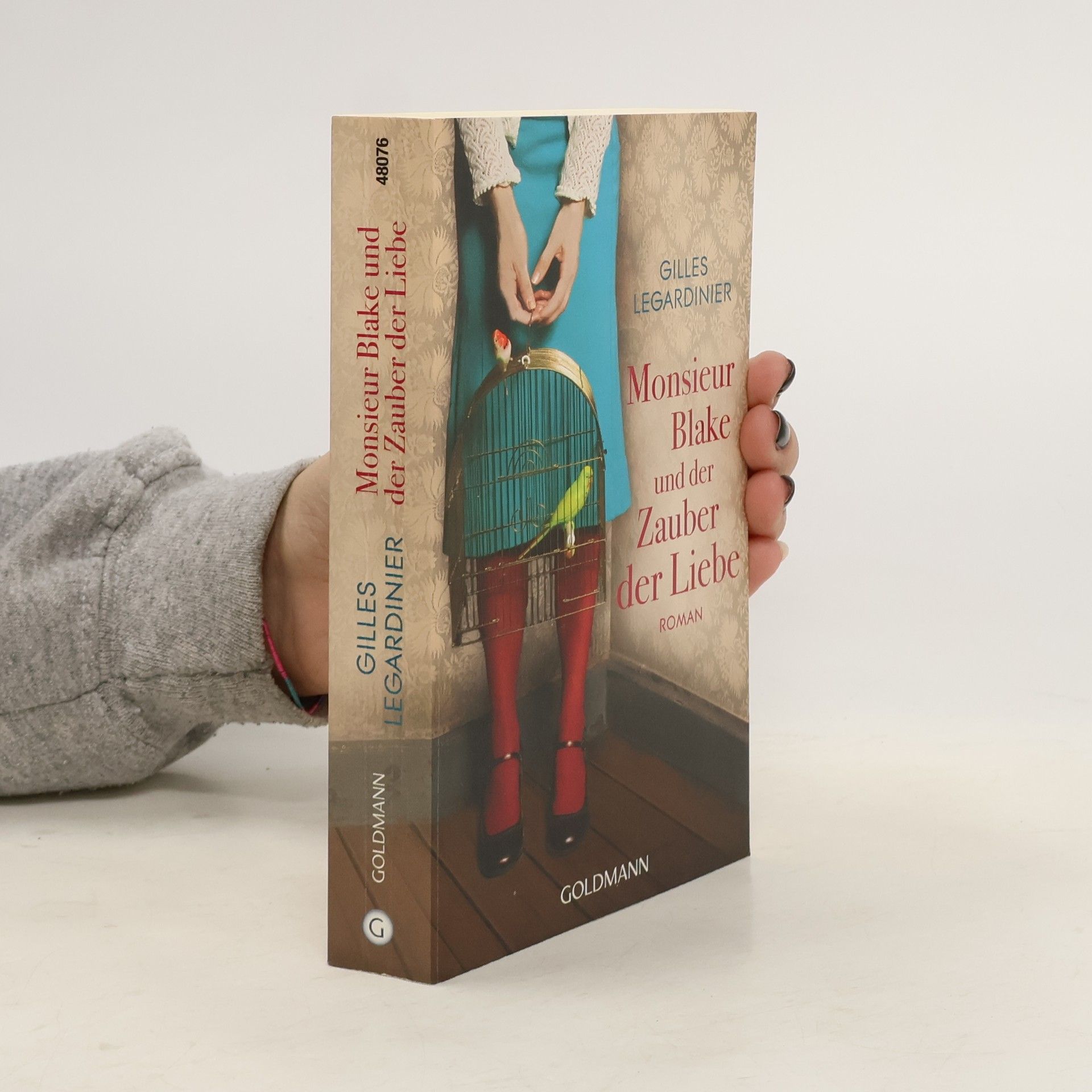 Gilles Legardinier Monsieur Blake und der Zauber der Liebe