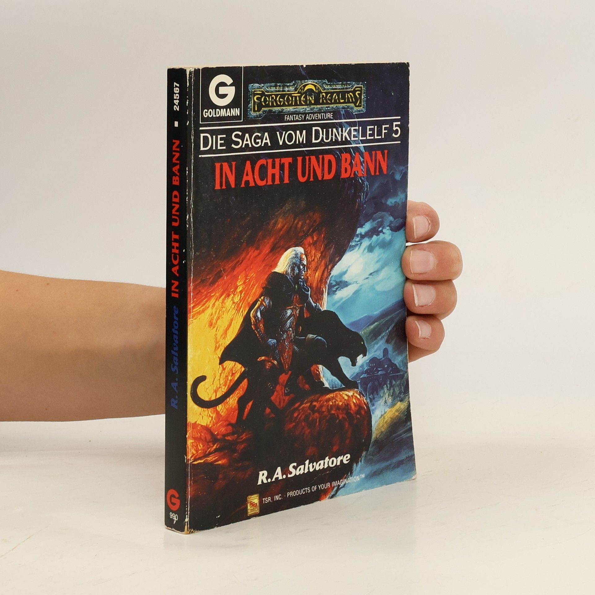 In Acht und Bann. Die Saga vom Dunkelelf