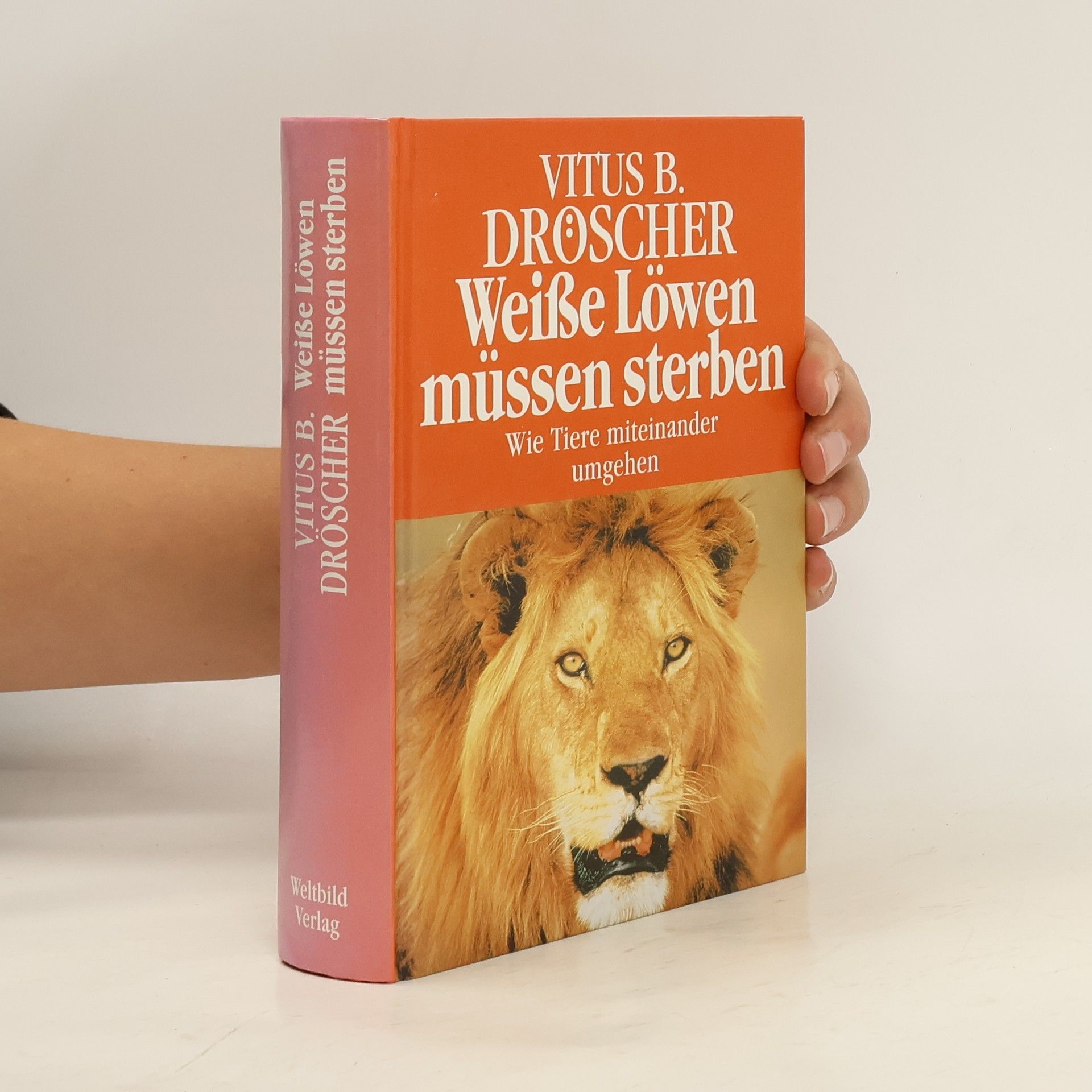 Weiße Löwen müssen sterben