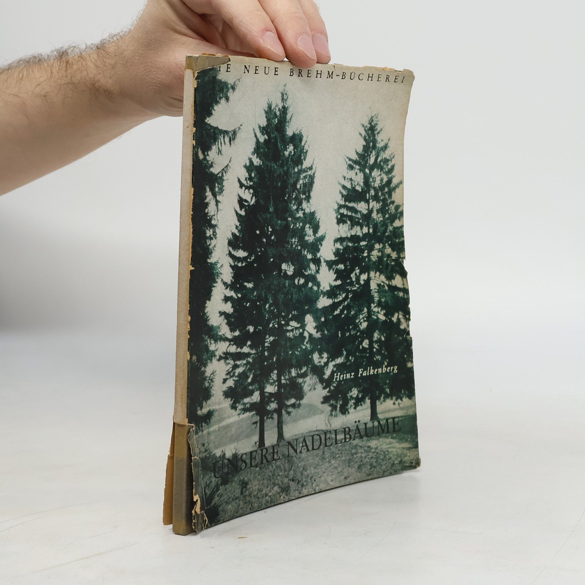 Heinz Falkenberg Unsere Nadelbäume