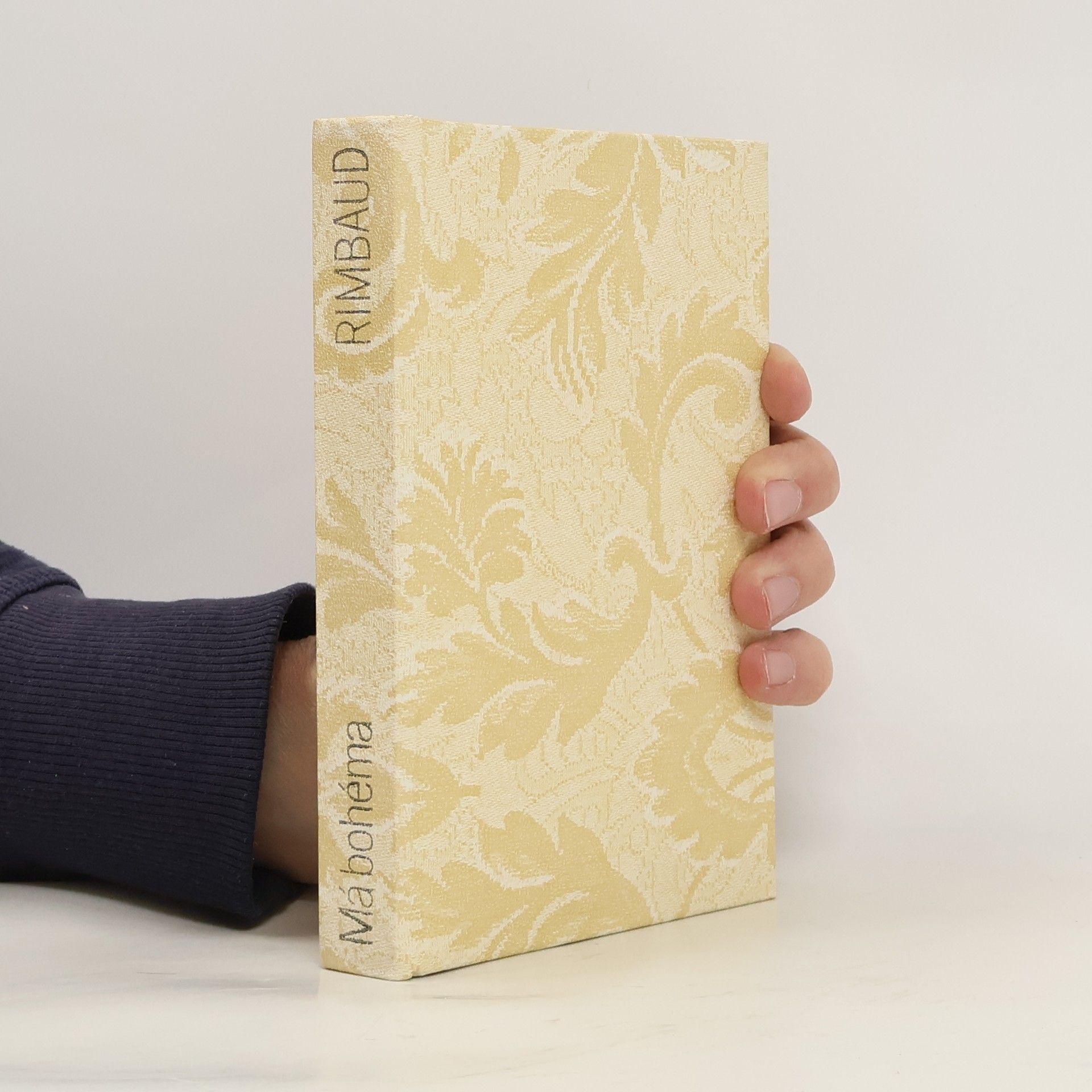 Jean Nicolas Arthur Rimbaud Má bohéma