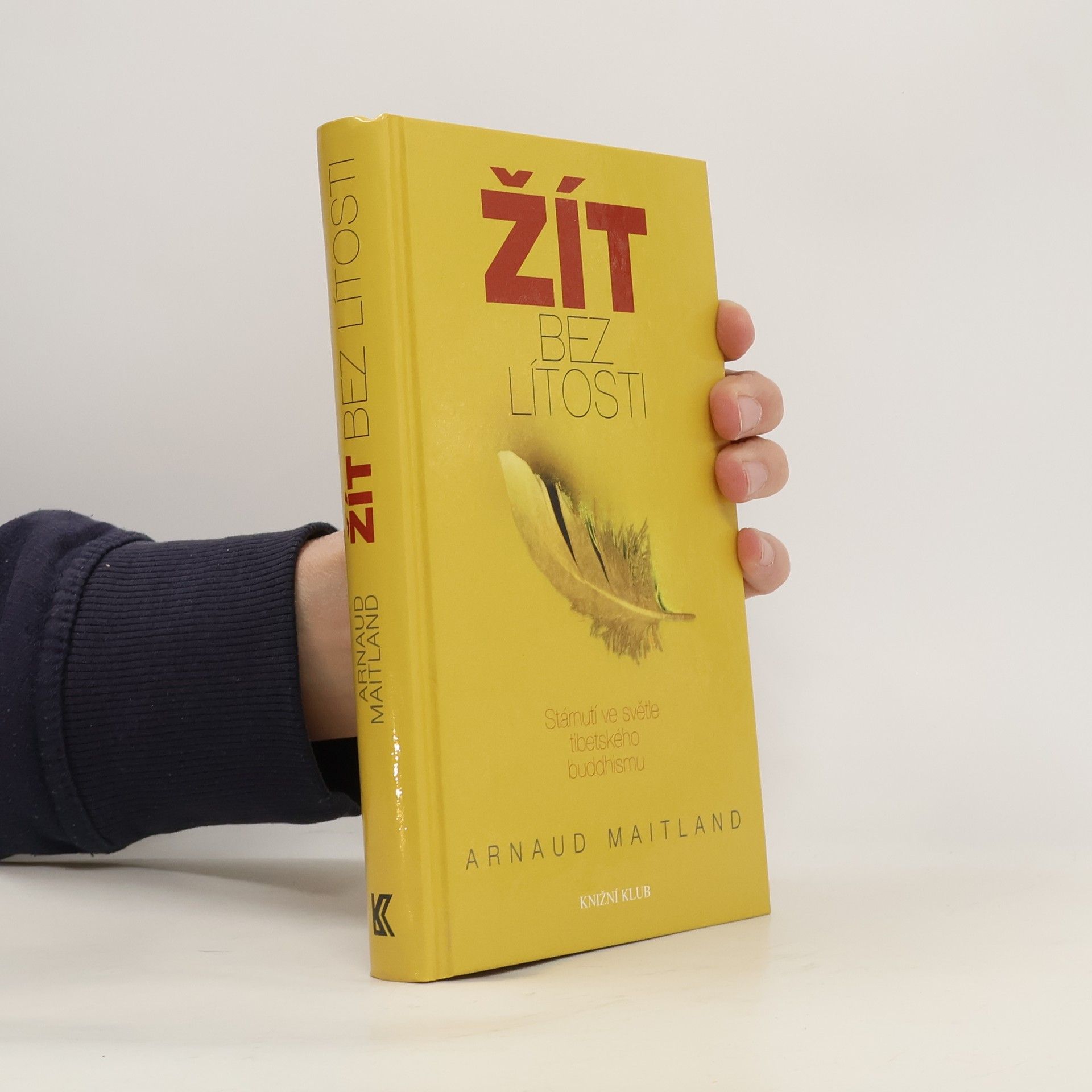 Arnaud Maitland Žít bez lítosti. Stárnutí ve světle tibetského buddhismu