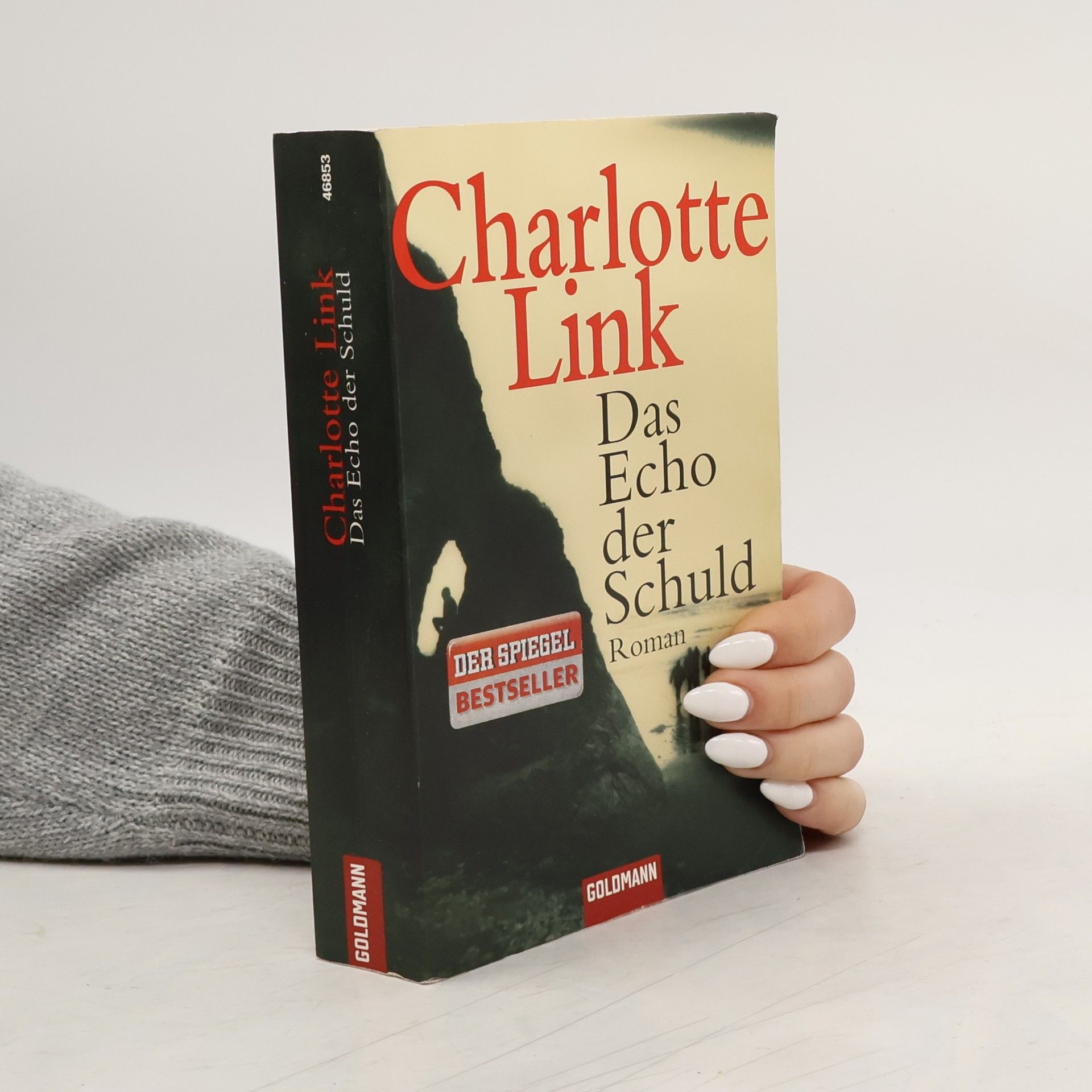 Charlotte Link Das Echo der Schuld