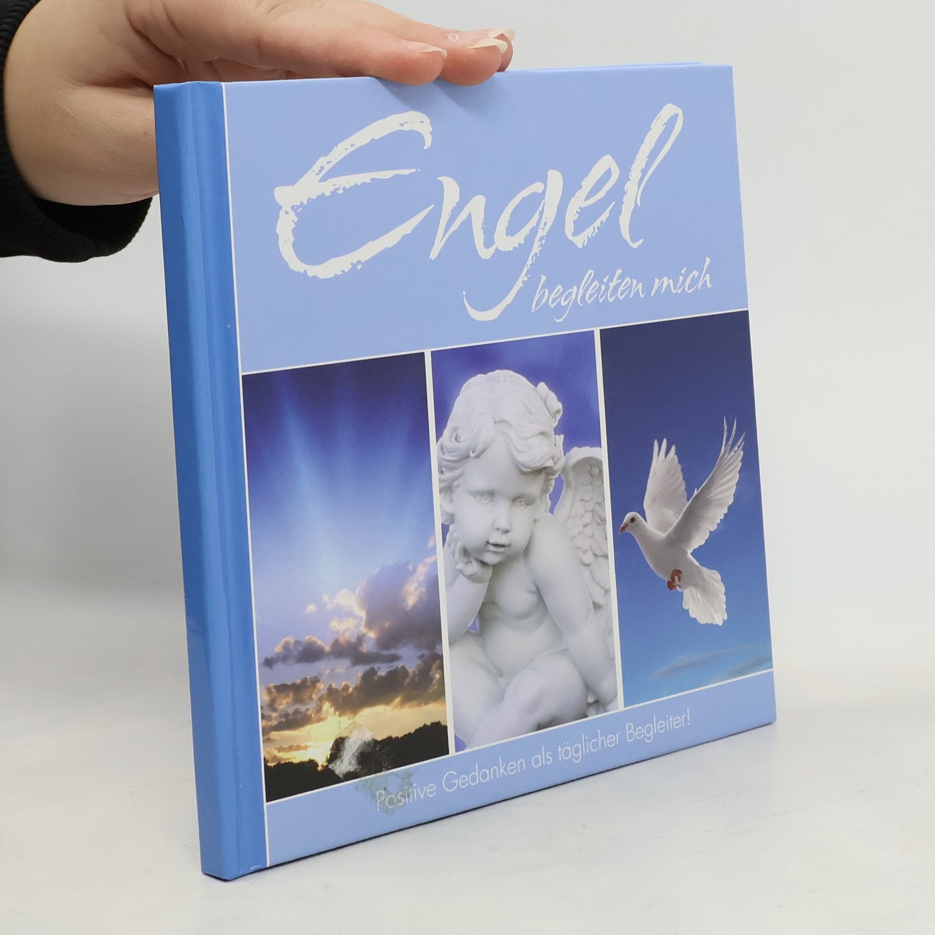 Kolektív autorov Engel begleiten mich