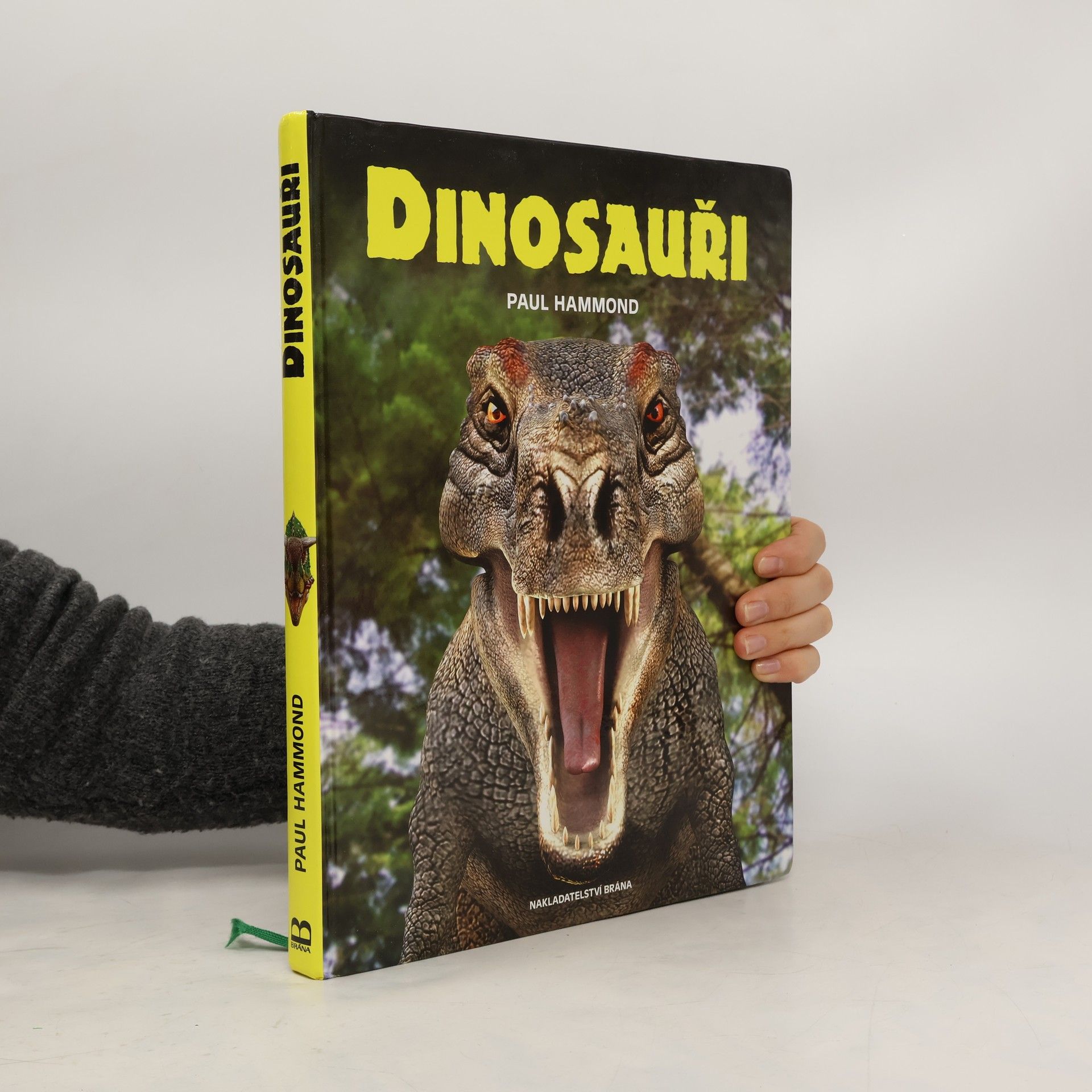 Paul Hammond Dinosauři