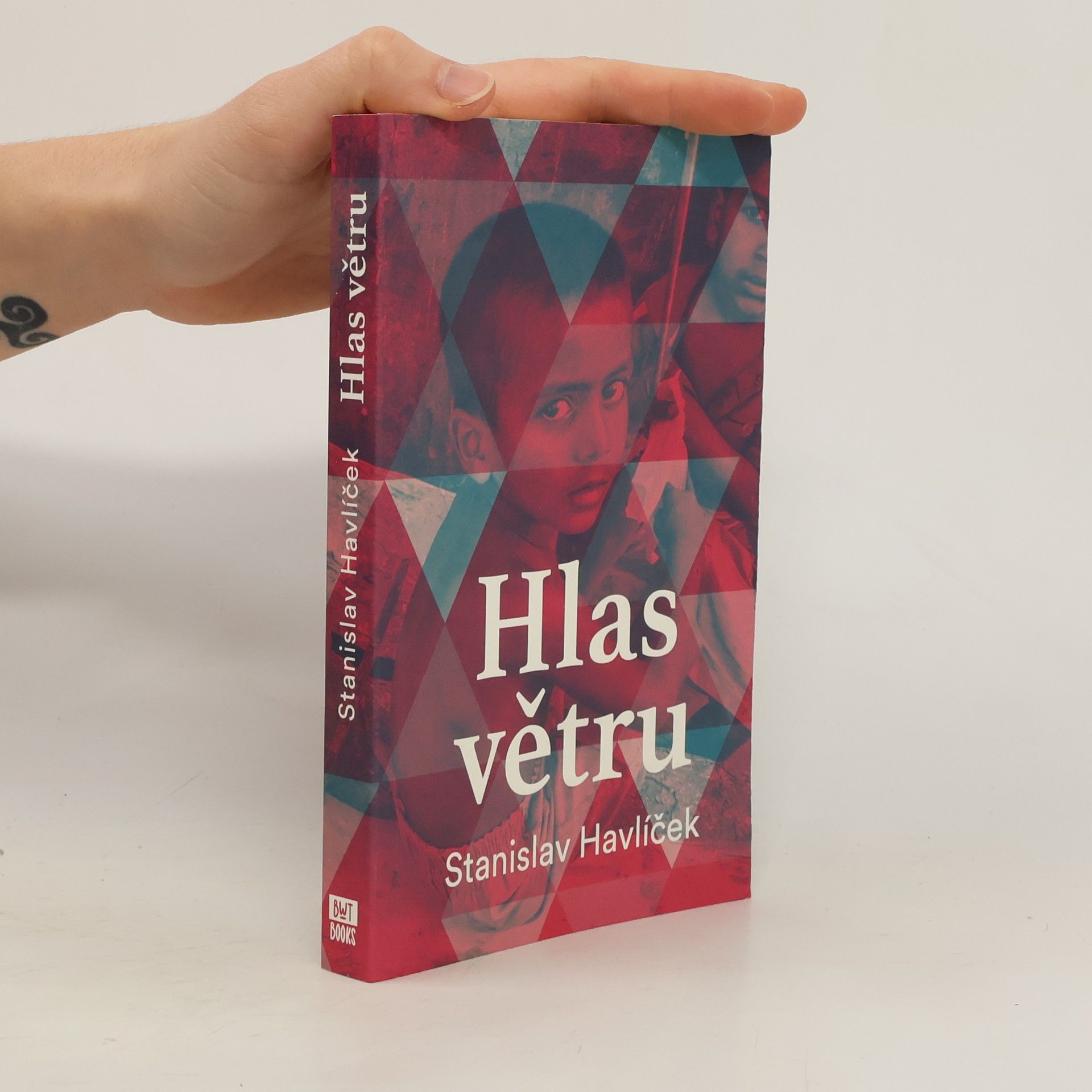 Stanislav Havlíček Hlas větru