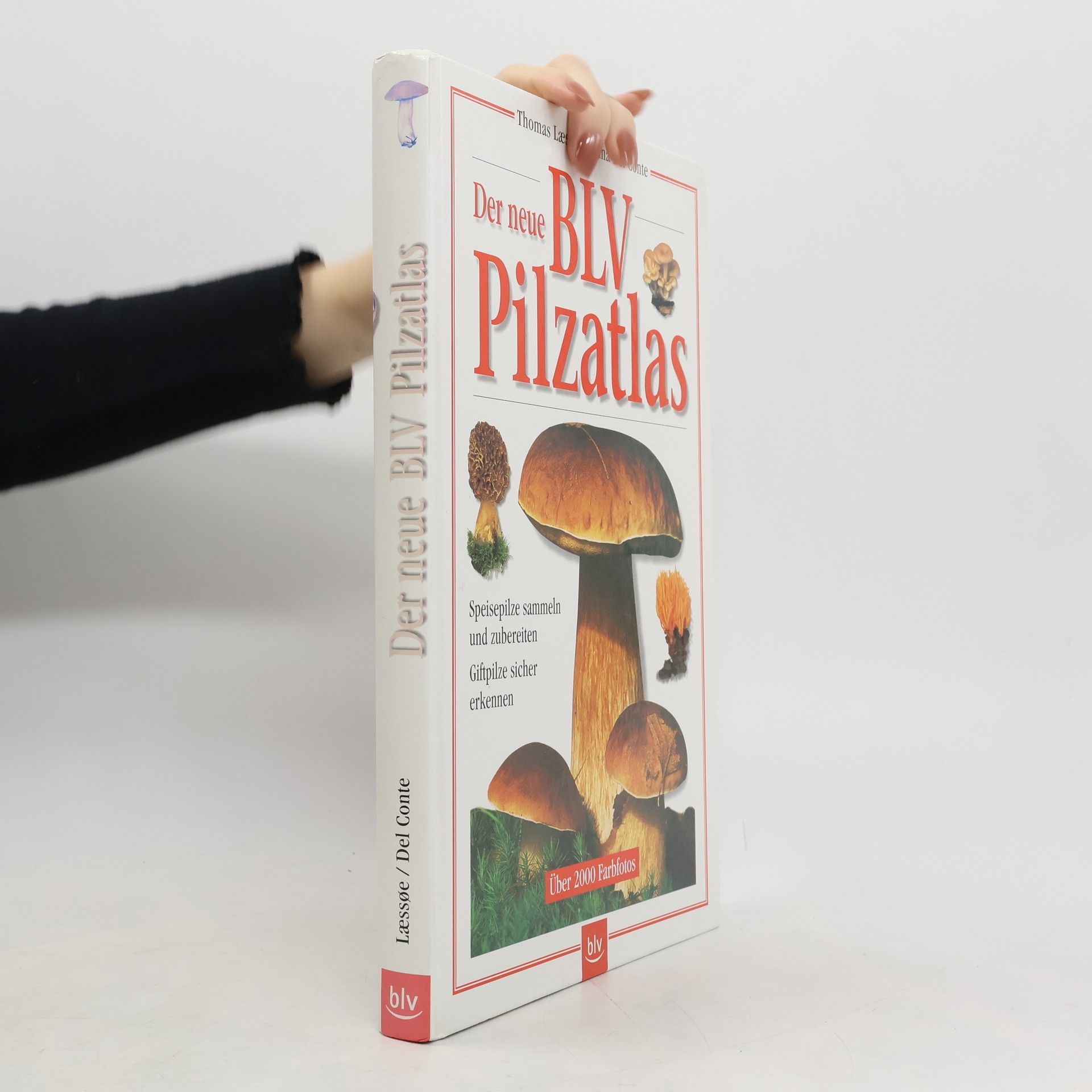 Thomas Laessoe Der neue BLV-Pilzatlas