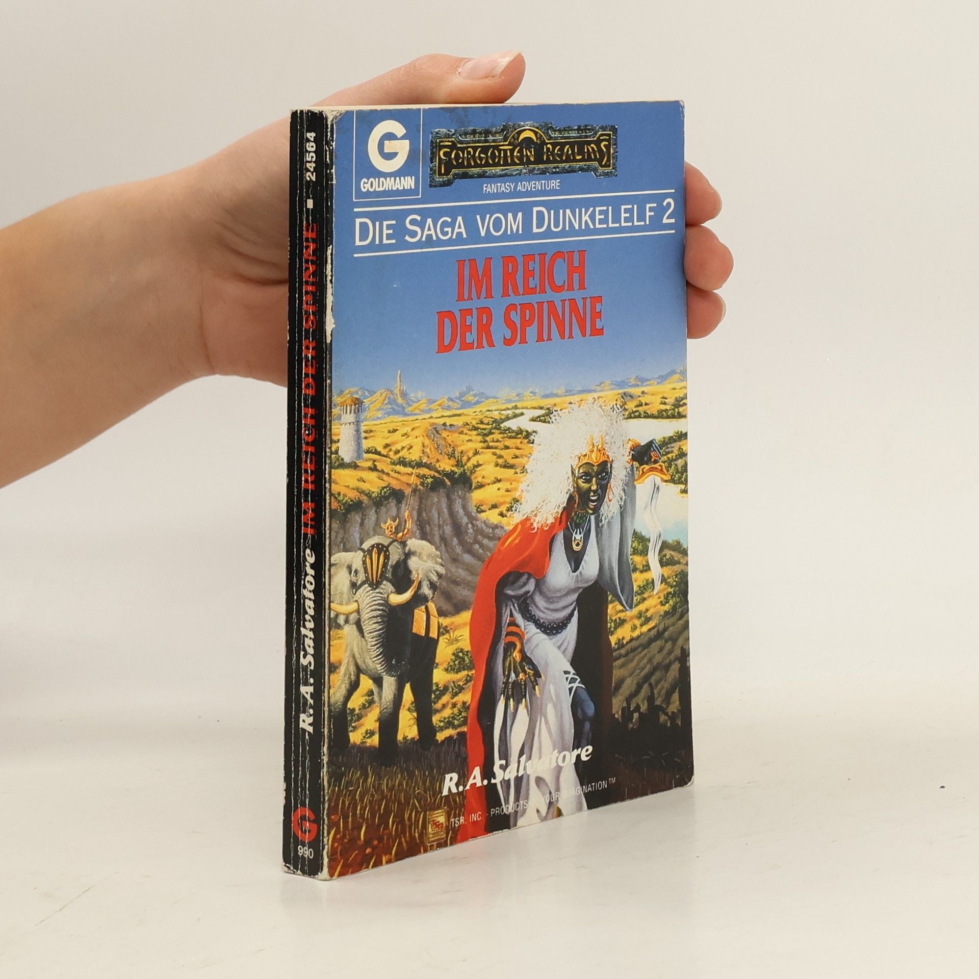 R. A. Salvatore Im Reich der Spinne. Die Saga vom Dunkelelf