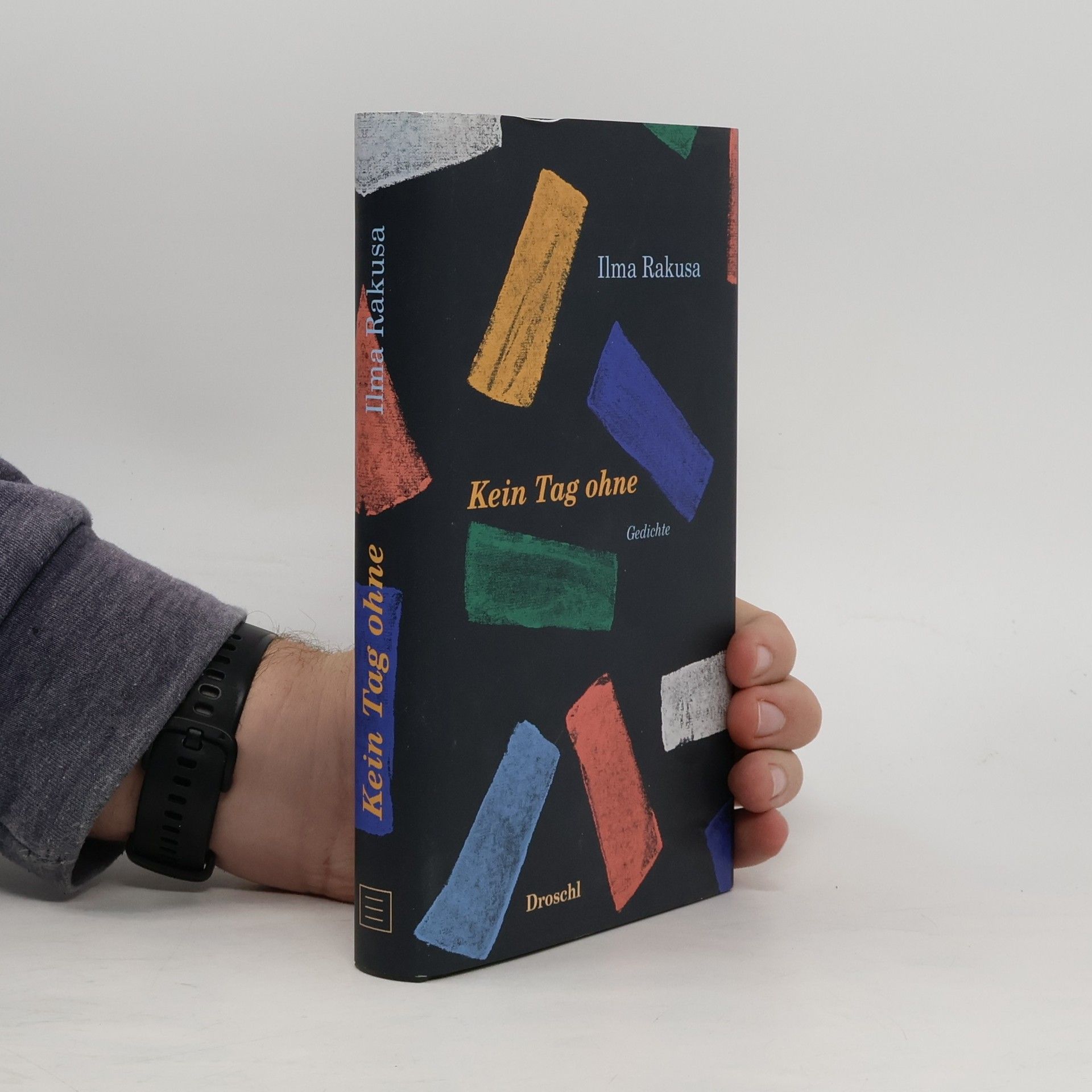 Ilma Rakusa Kein Tag ohne