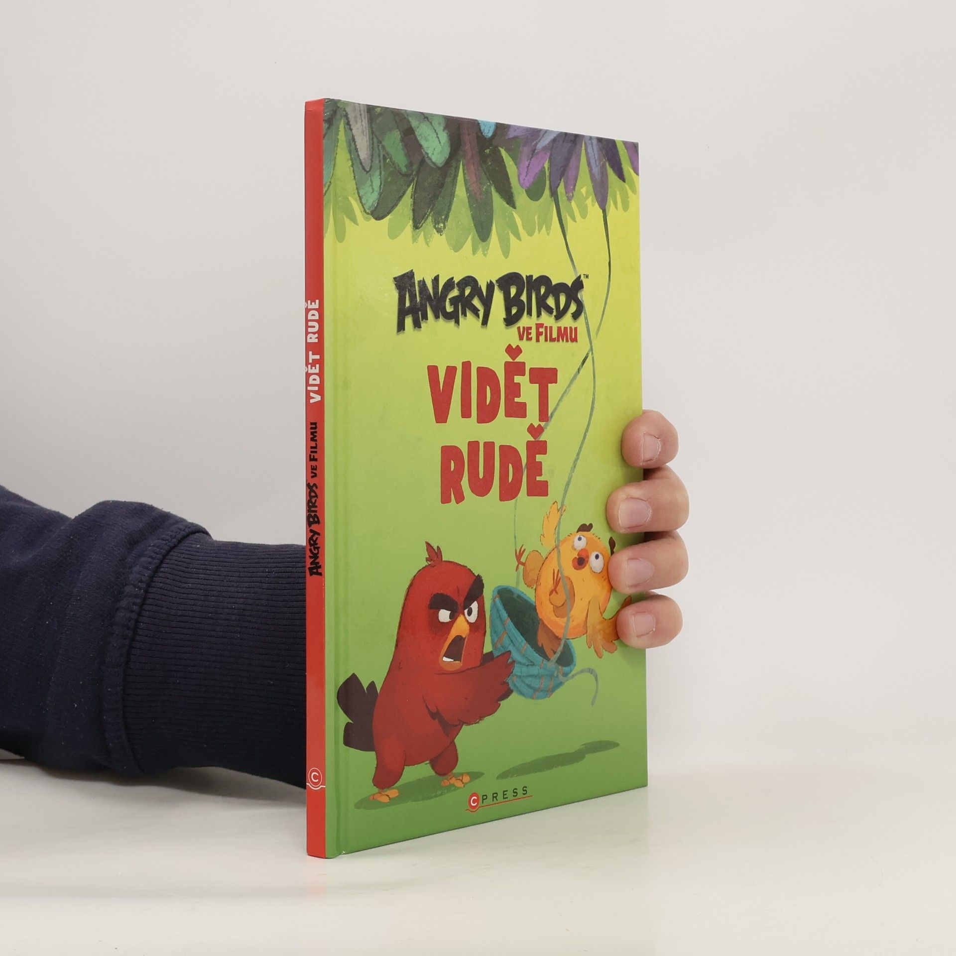 Angry Birds ve filmu. Vidět rudě