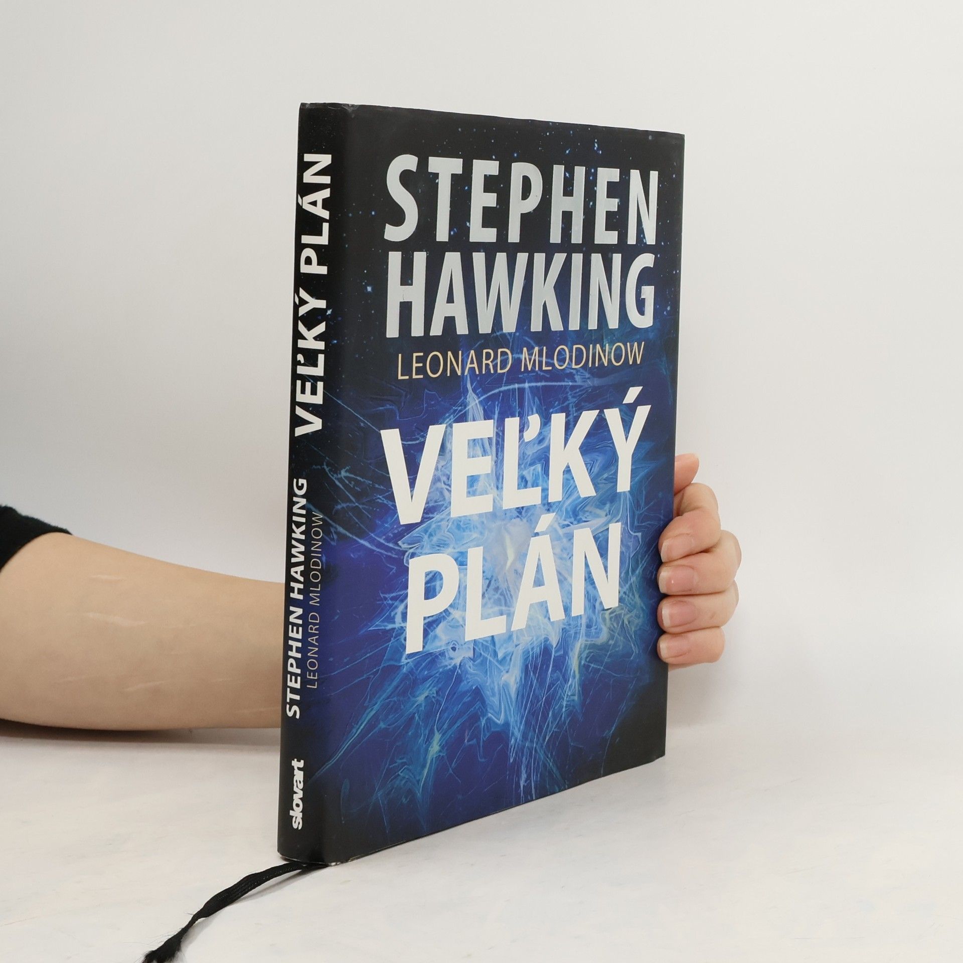 Stephen Hawking Veľký plán