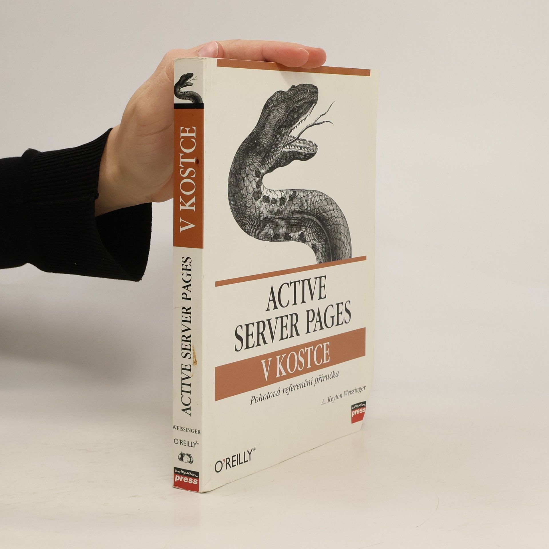 Active Server Pages v kostce