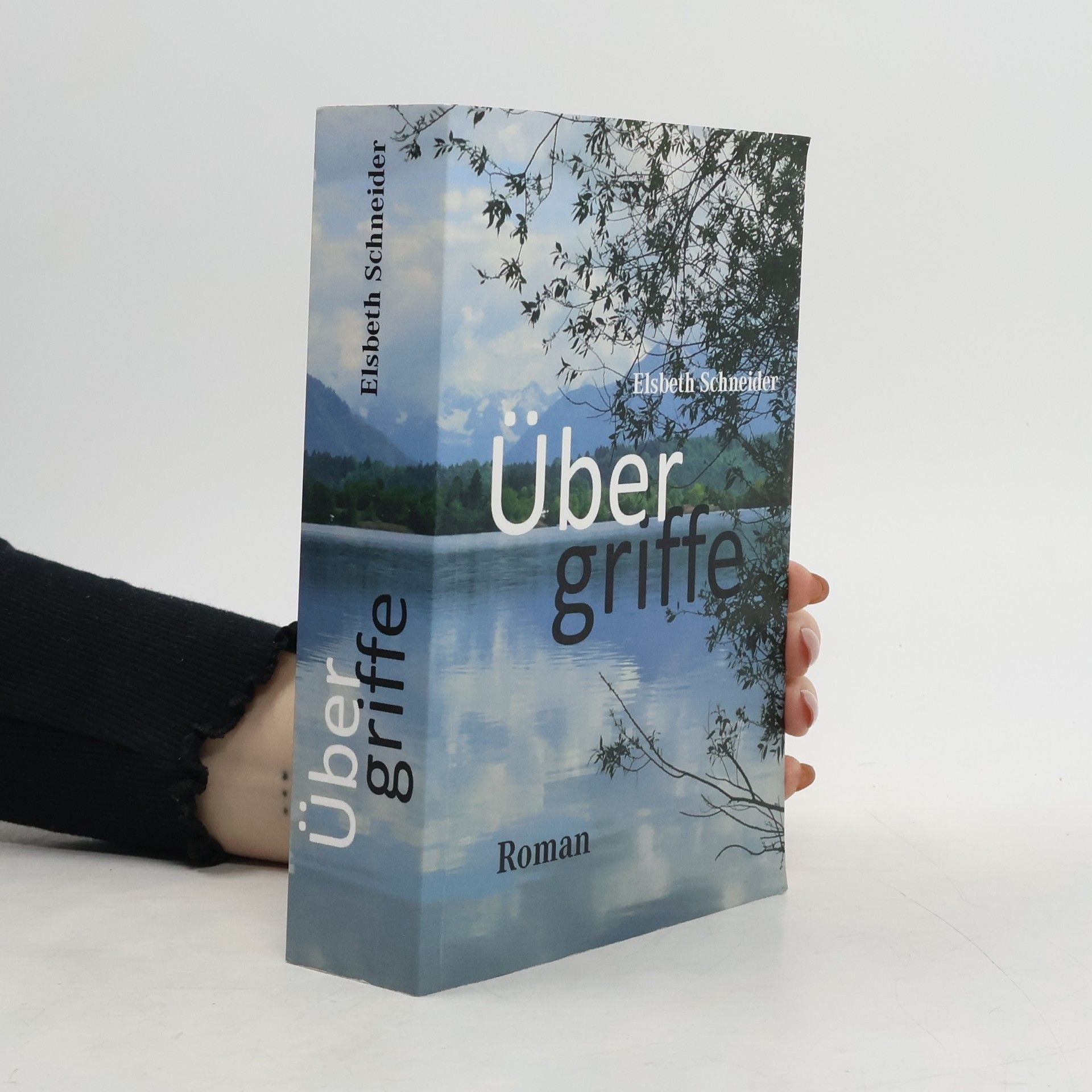 Elsbeth Schneider Übergriffe