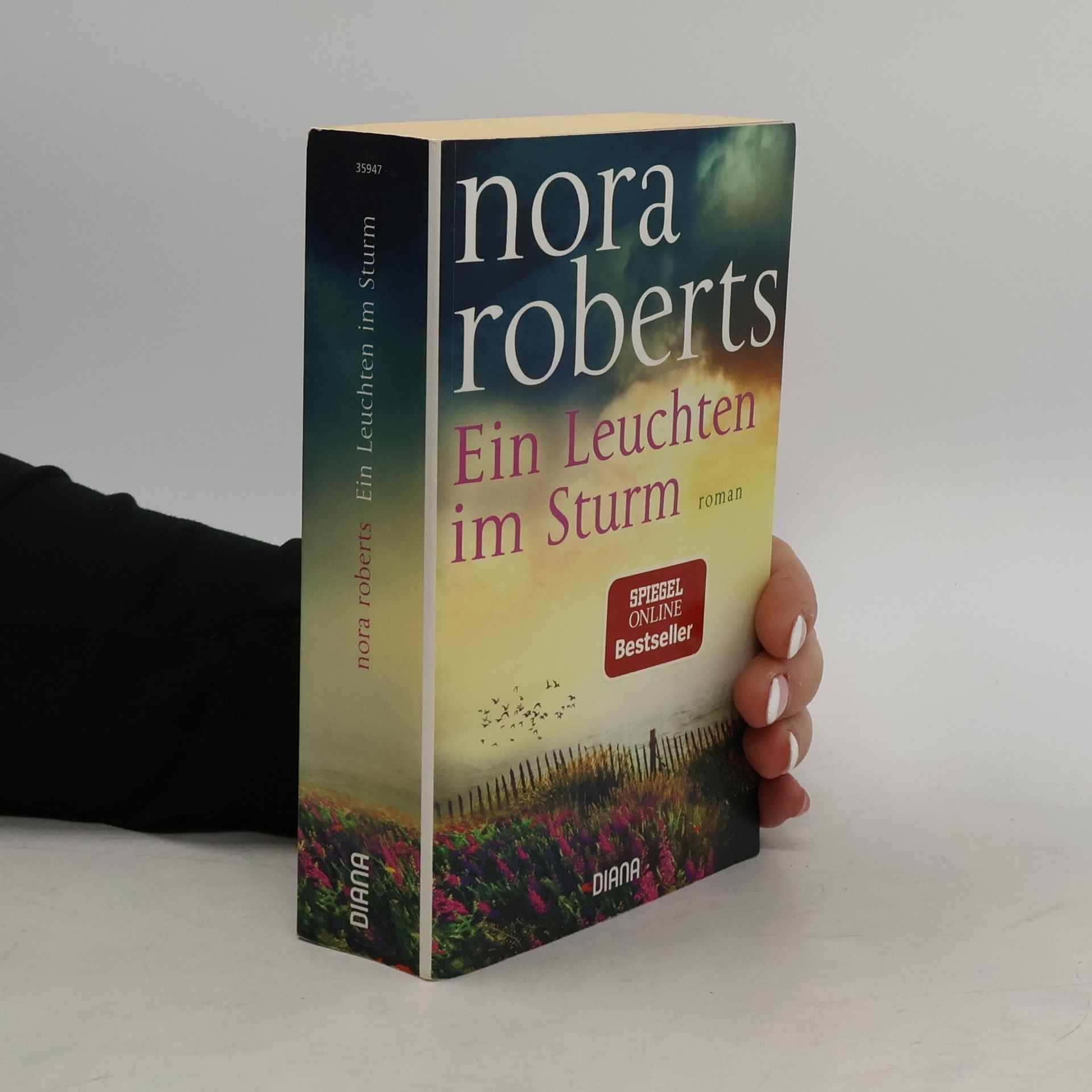 Ein Leuchten im Sturm