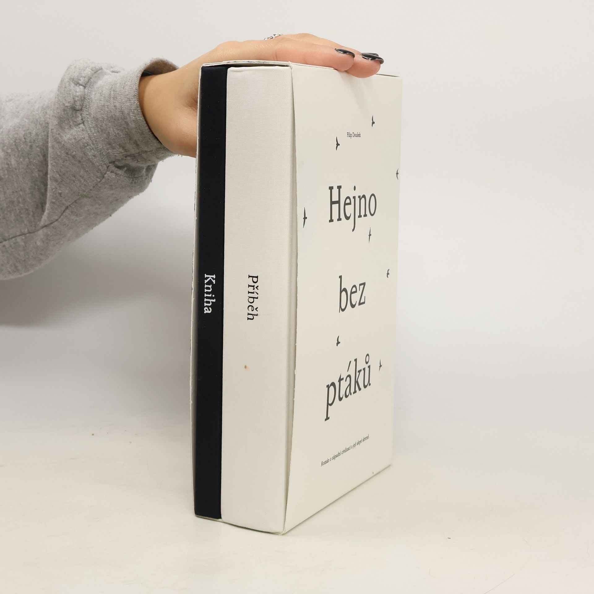 Filip Doušek Hejno bez ptáků