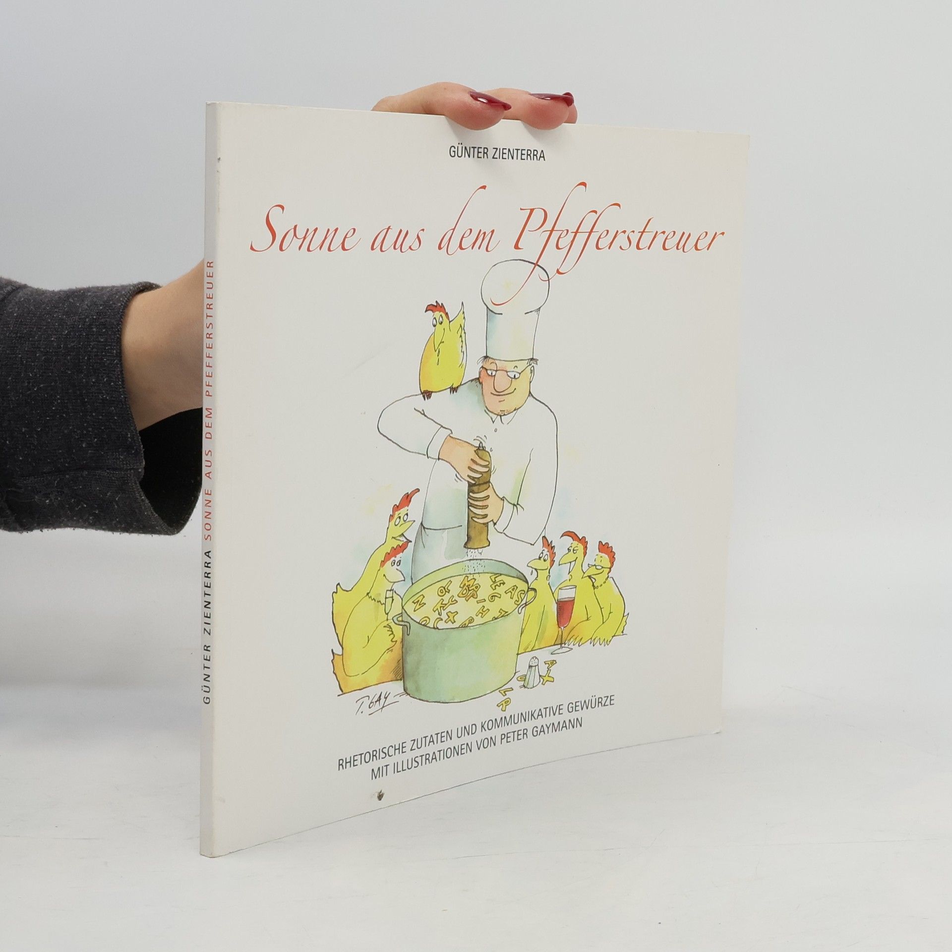 Günter Zienterra Sonne aus dem Pfefferstreuer