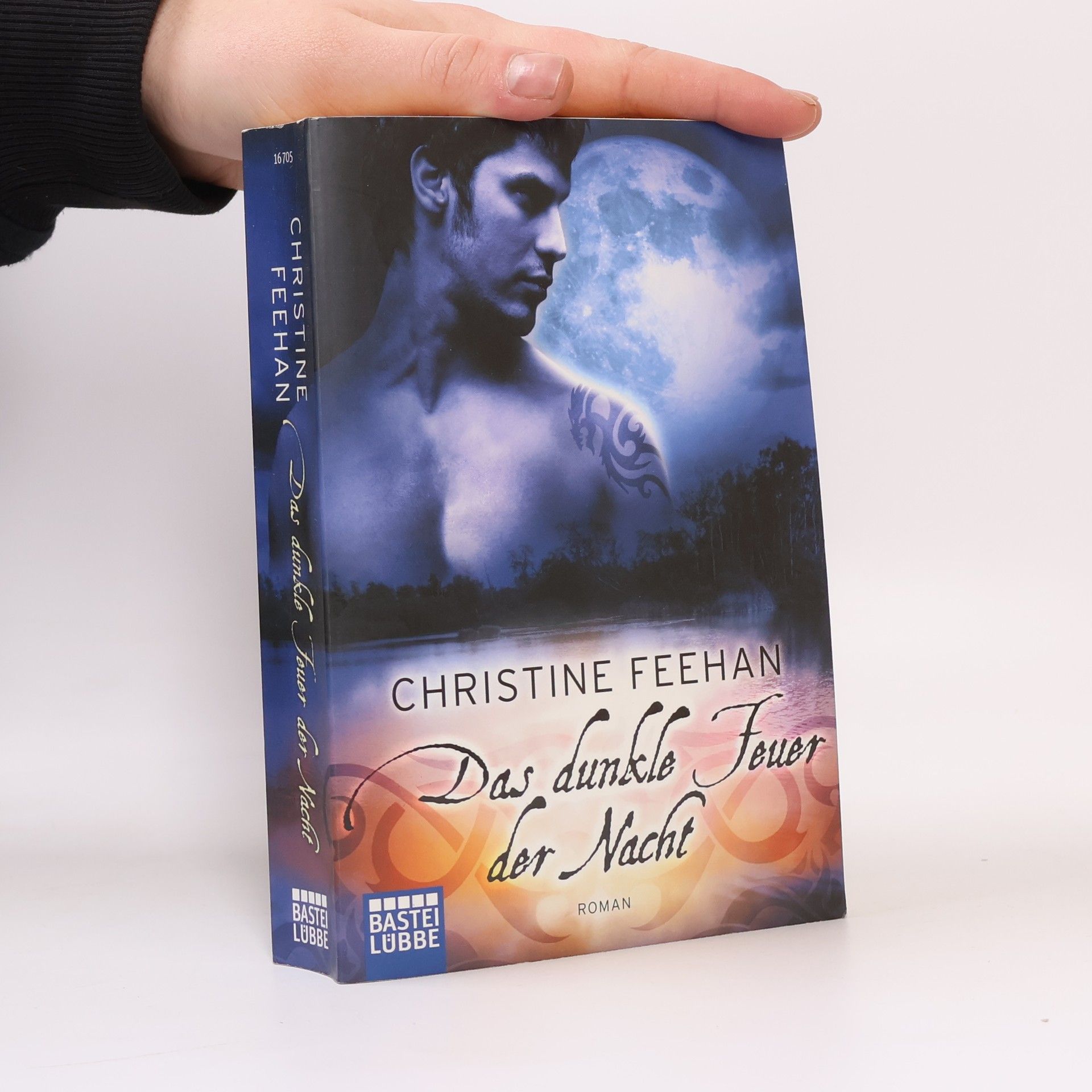 Christine Feehan Das dunkle Feuer der Nacht