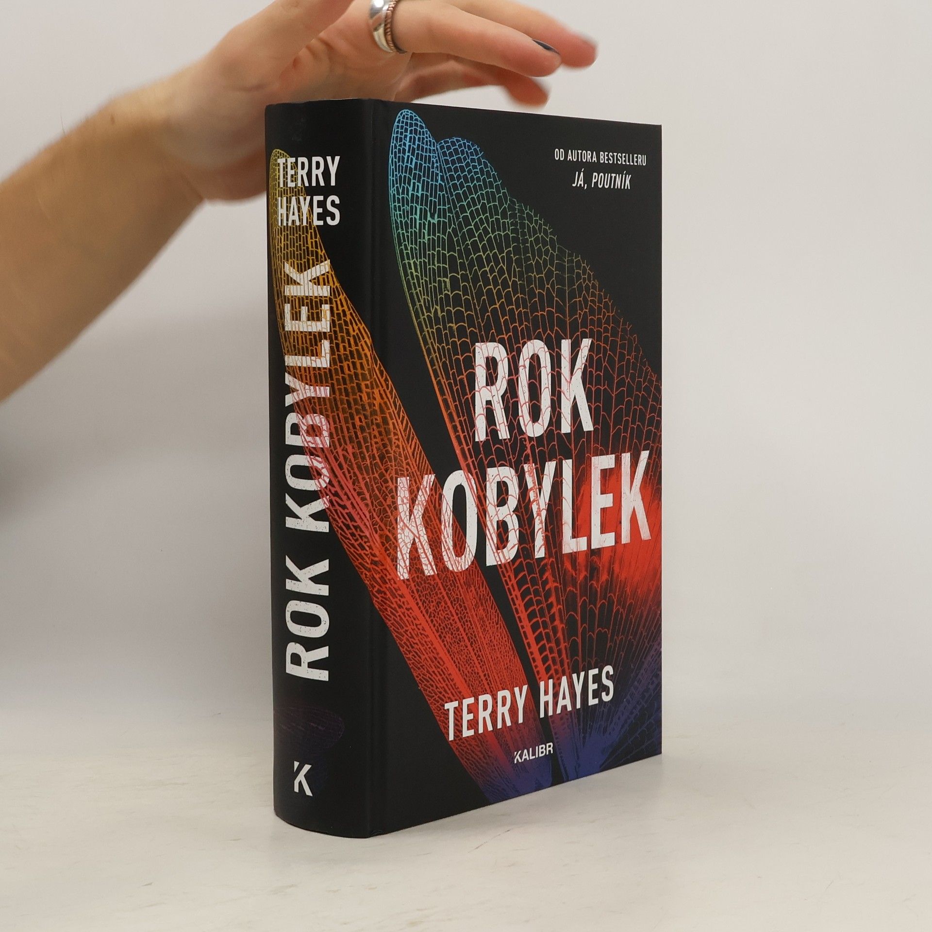 Terry Hayes Rok kobylek