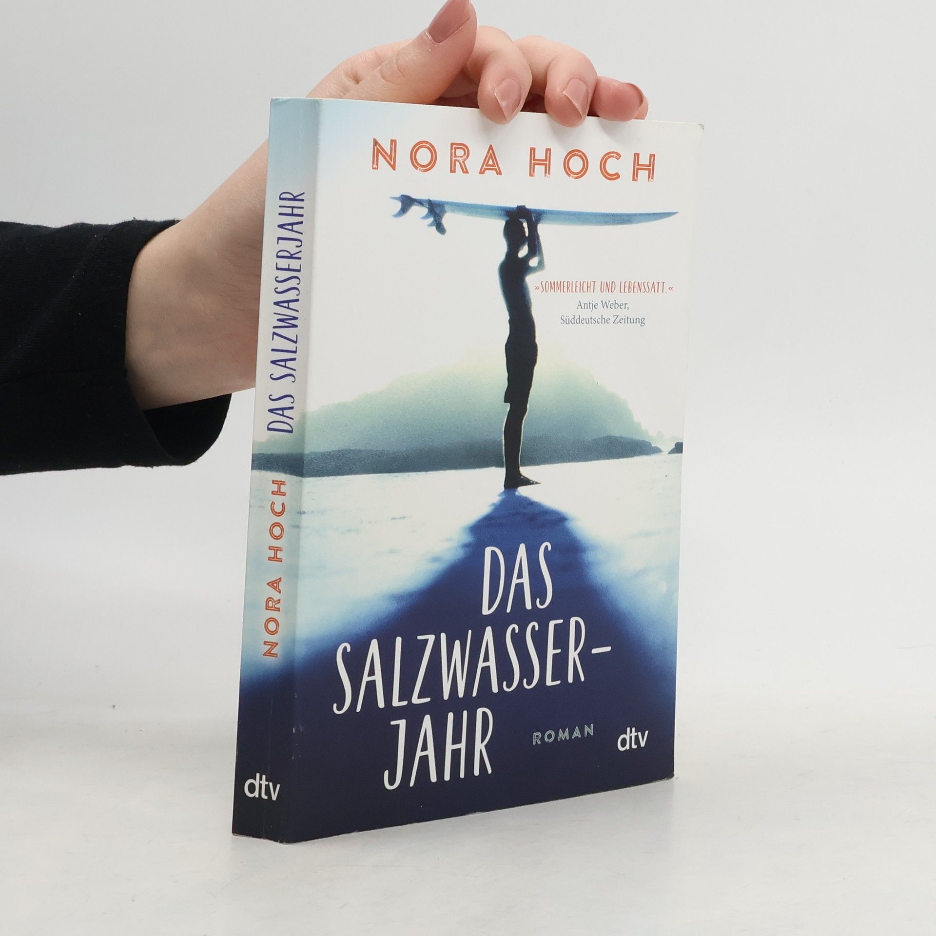 Nora Hoch Das Salzwasserjahr