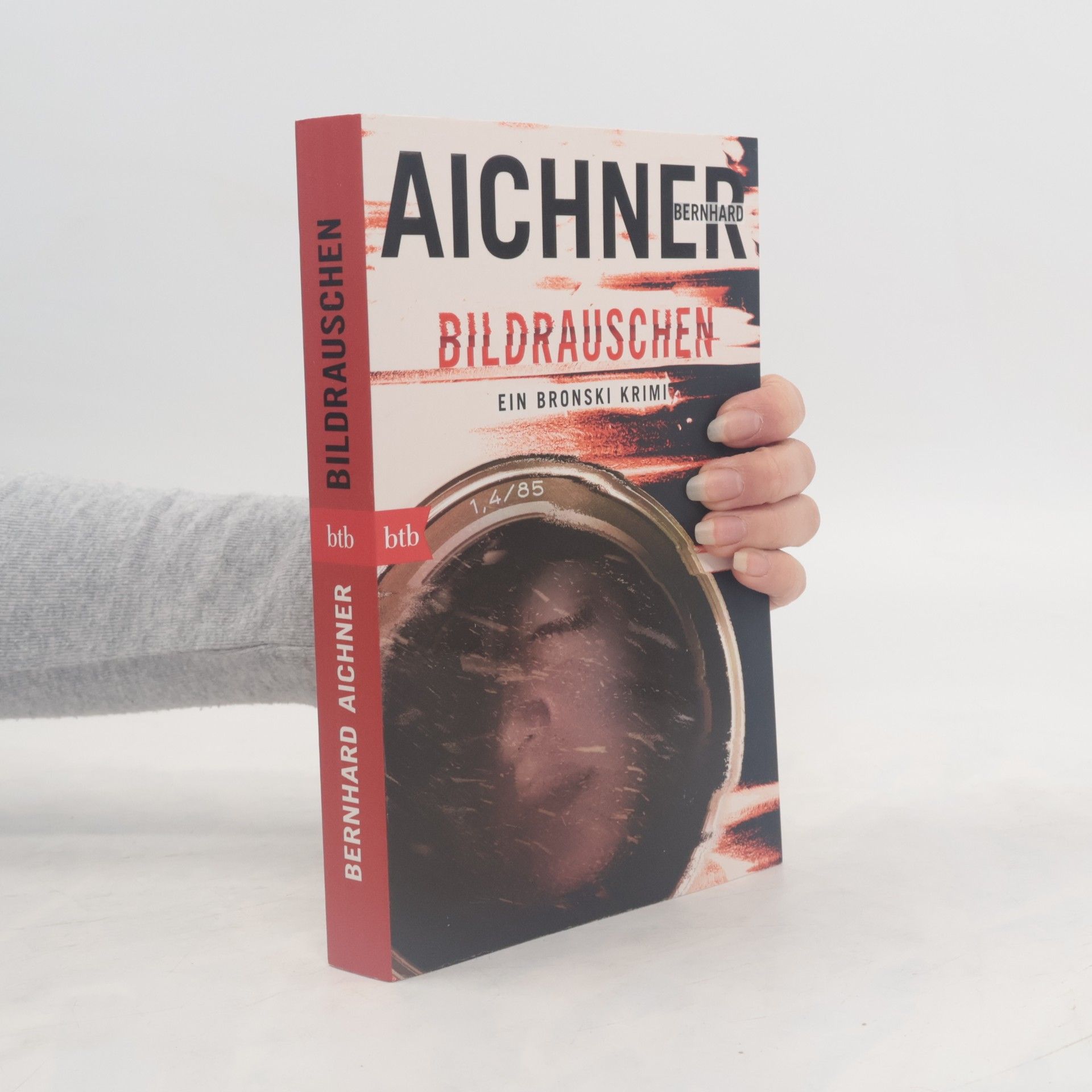 Bernhard Aichner Bildrauschen