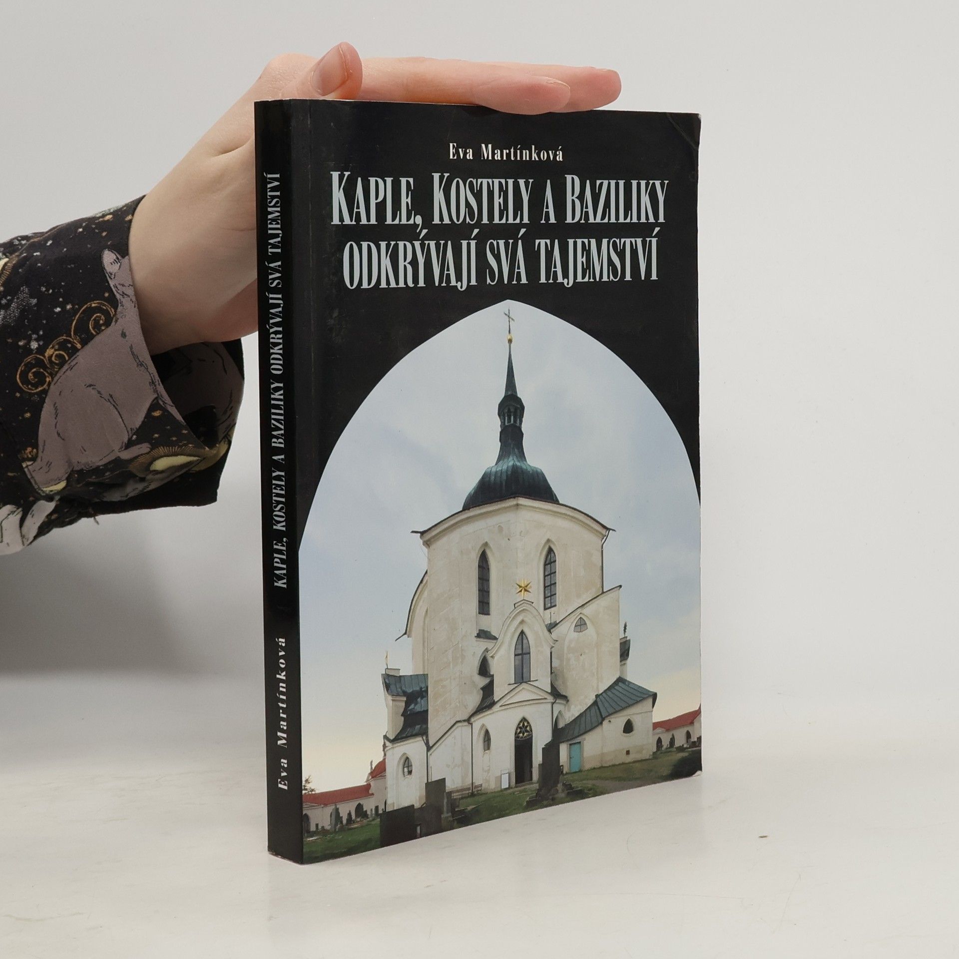 Eva Martínková Kaple, kostely a baziliky odkrývají svá tajemství