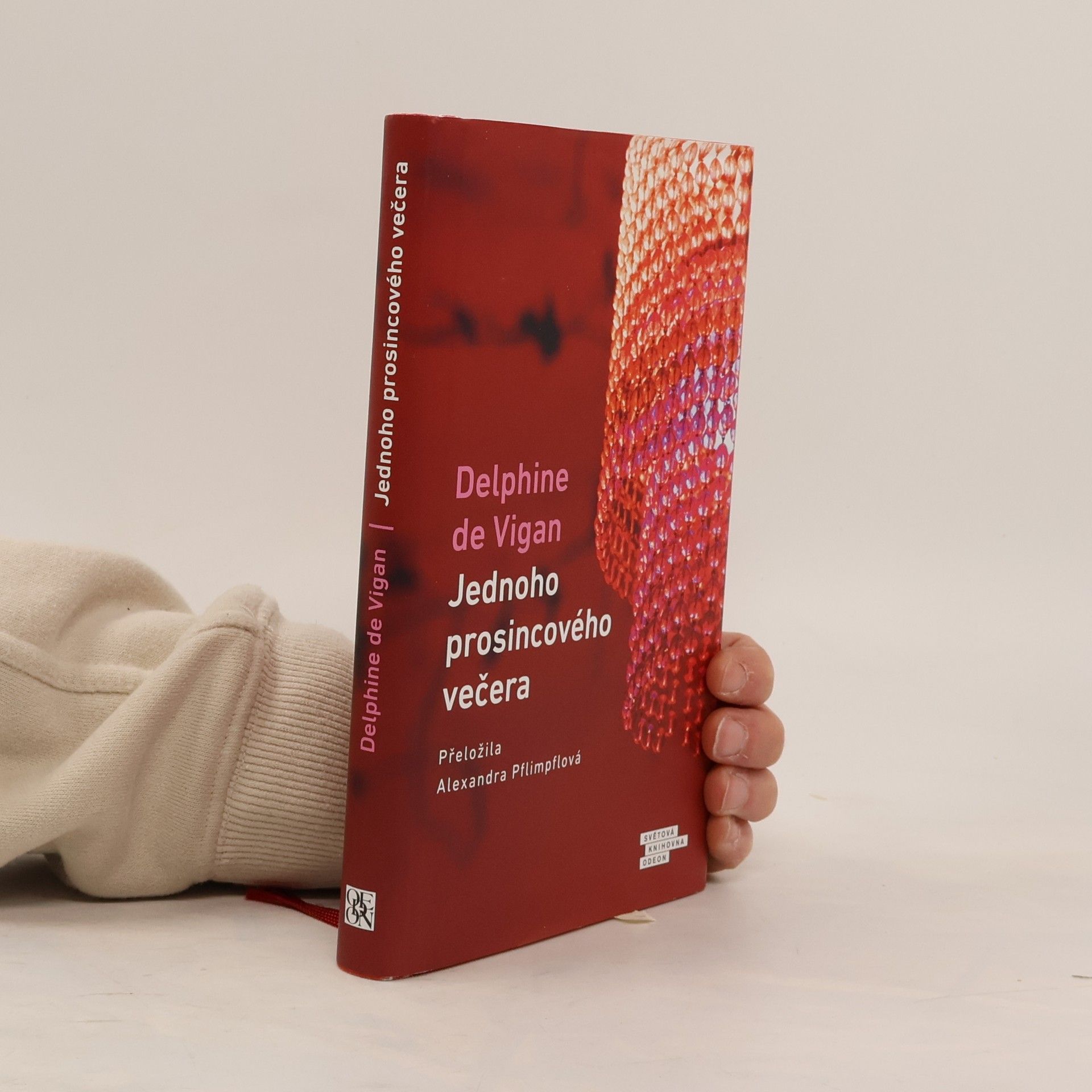 Delphine de Vigan Jednoho prosincového večera