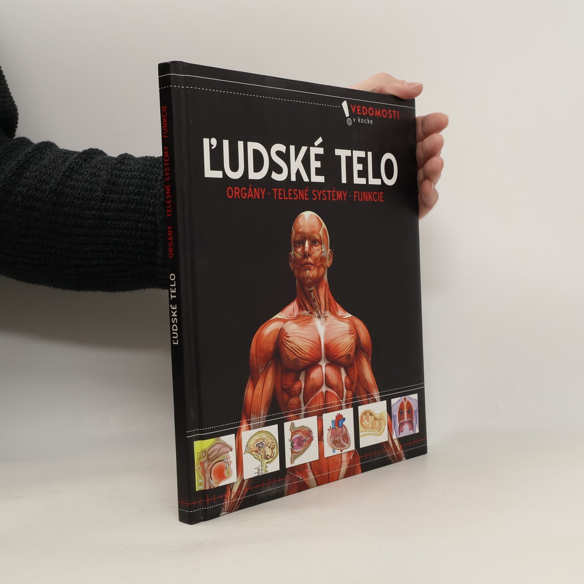 Autorenkollektiv Ľudské telo