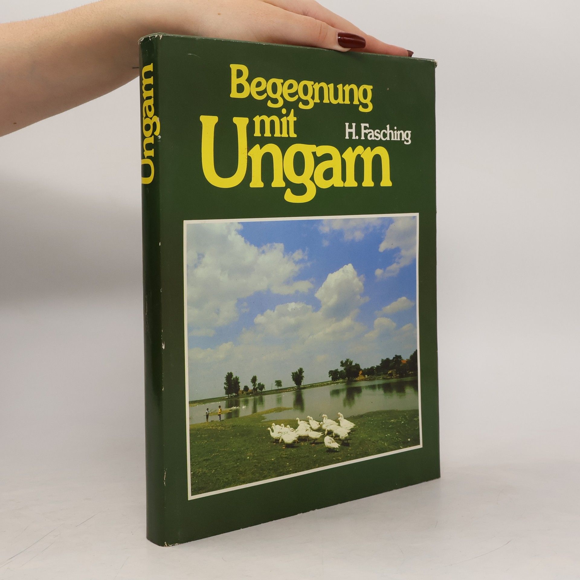 Herbert Fasching Begegnung mit Ungarn