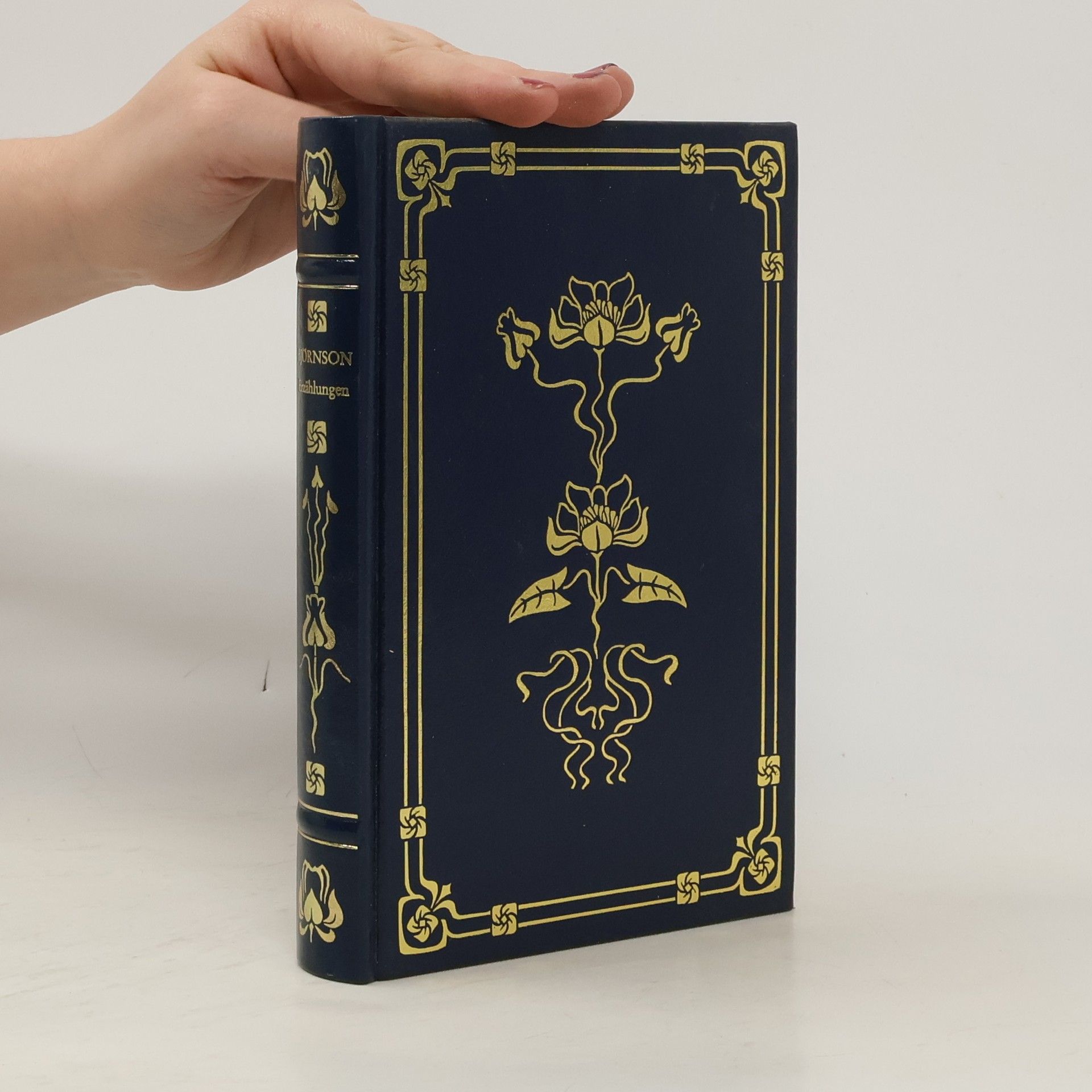 Kolektív autorov Erzählungen: Die große Erzählter