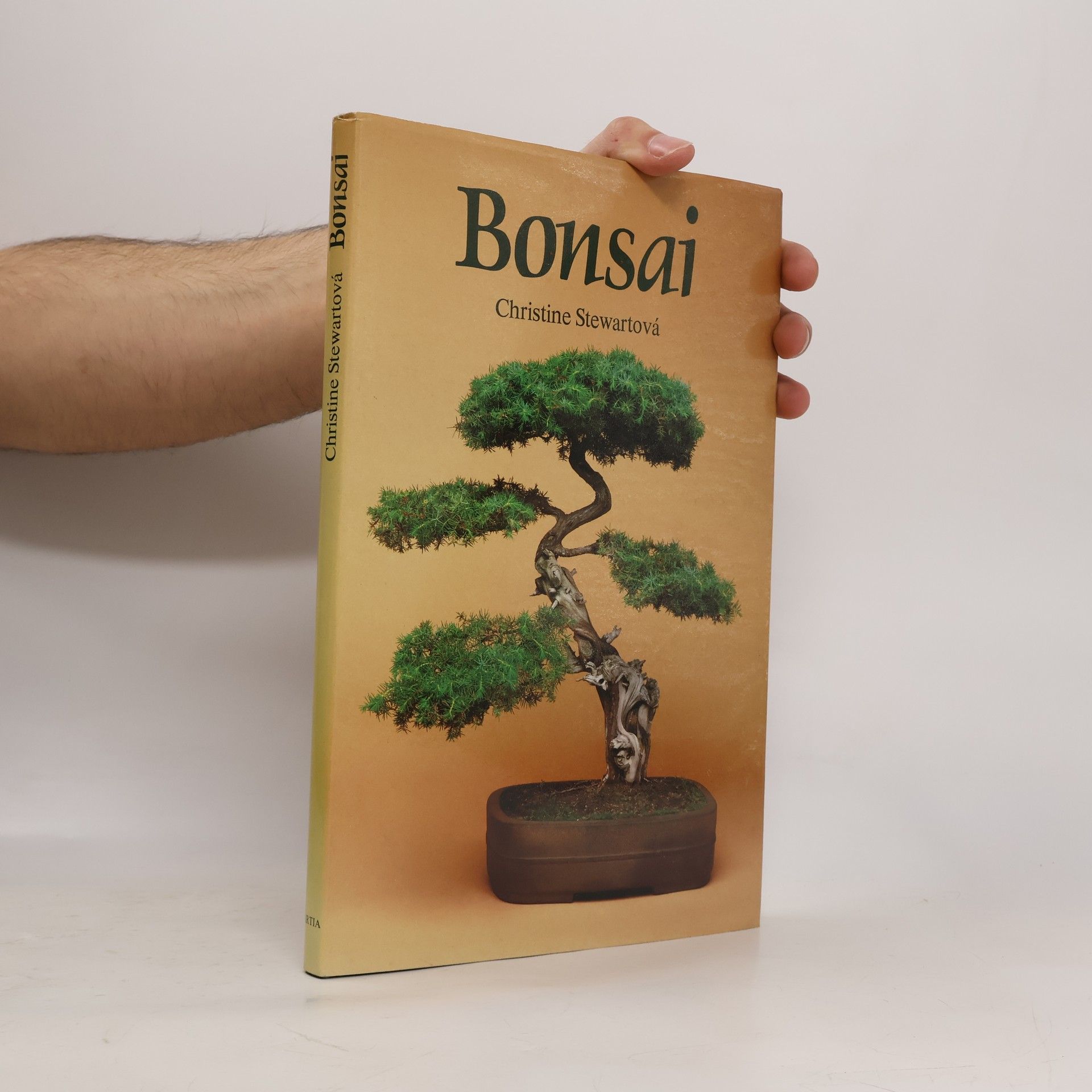 Christine Stewart Bonsai