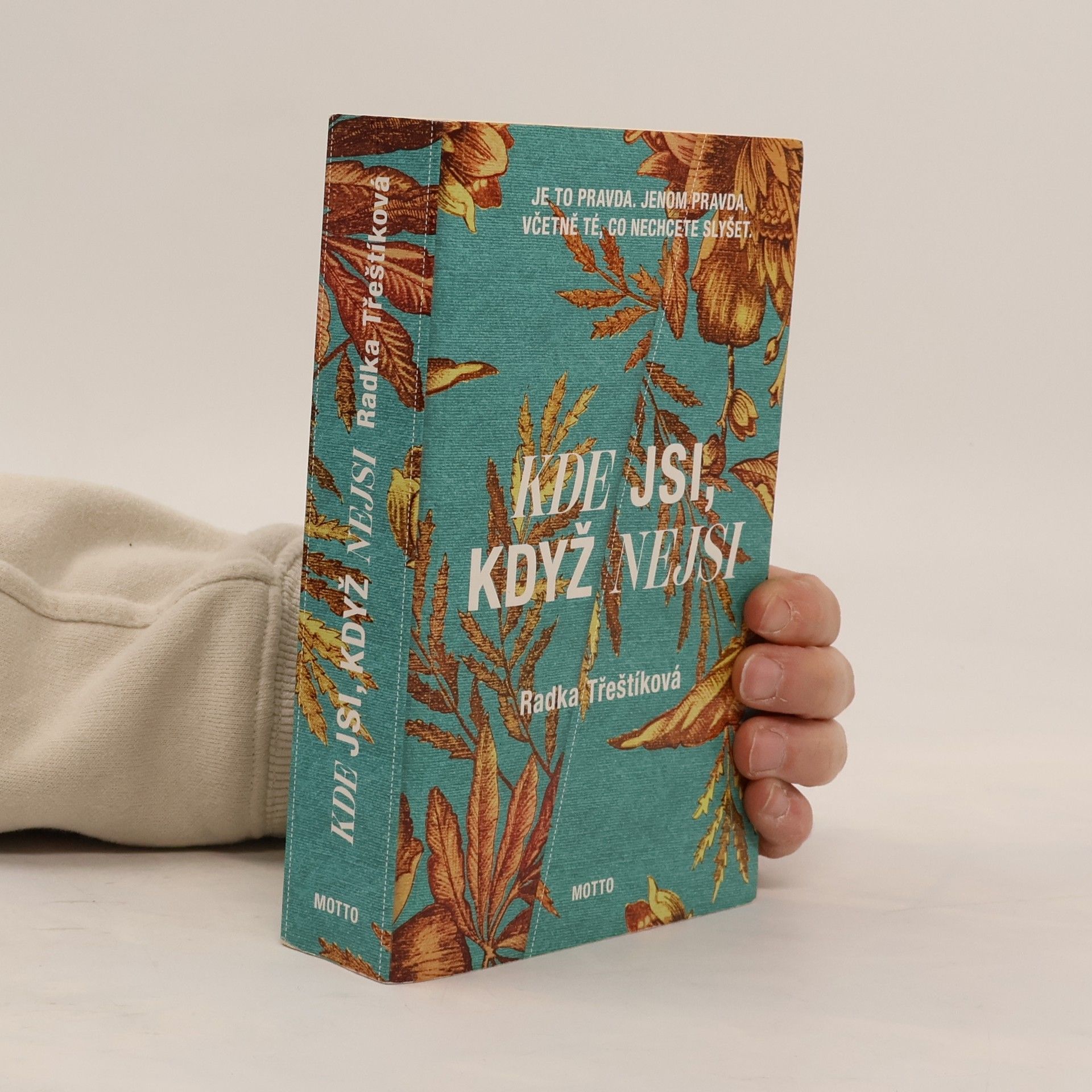 Radka Třeštíková Kde jsi, když nejsi