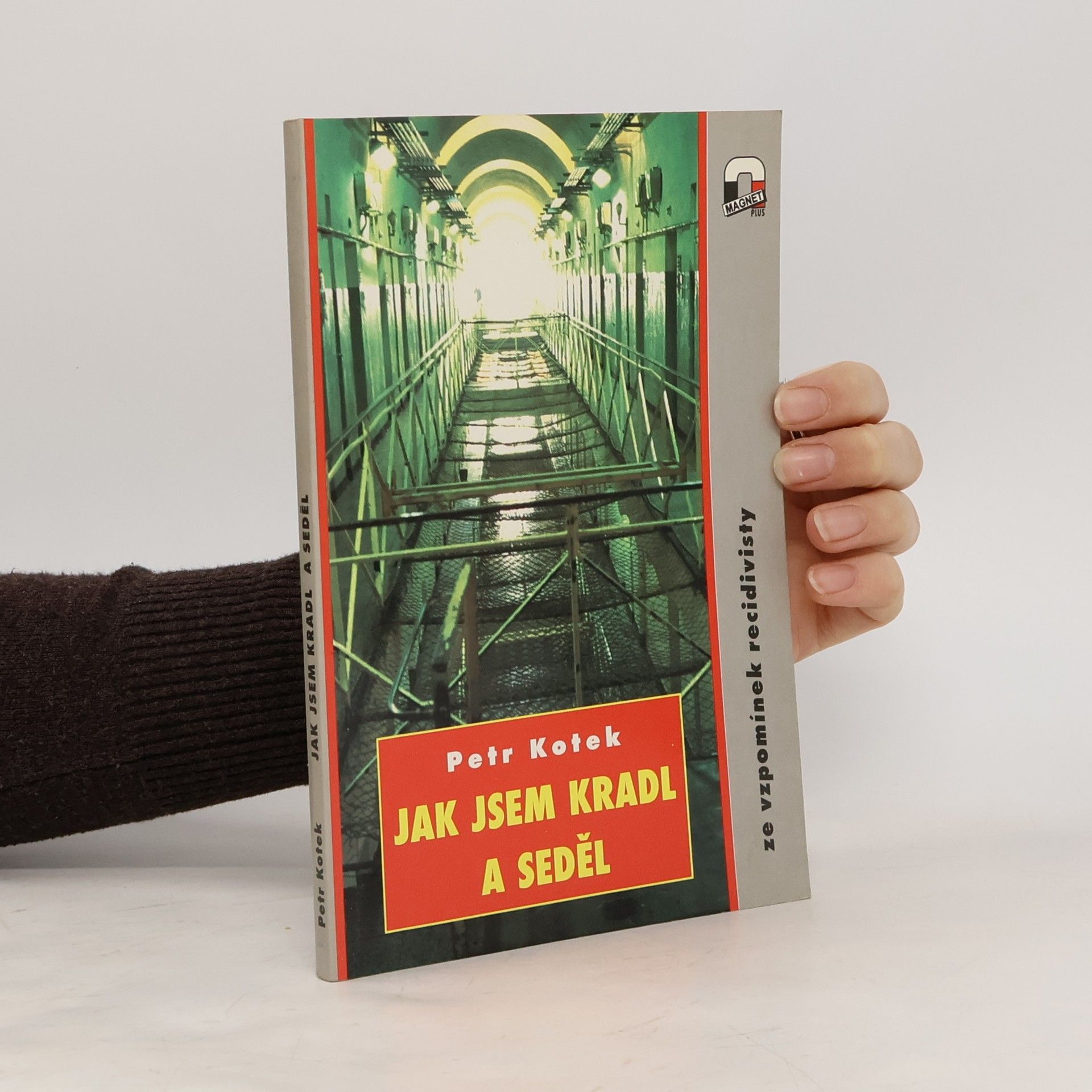 Jak jsem kradl a seděl