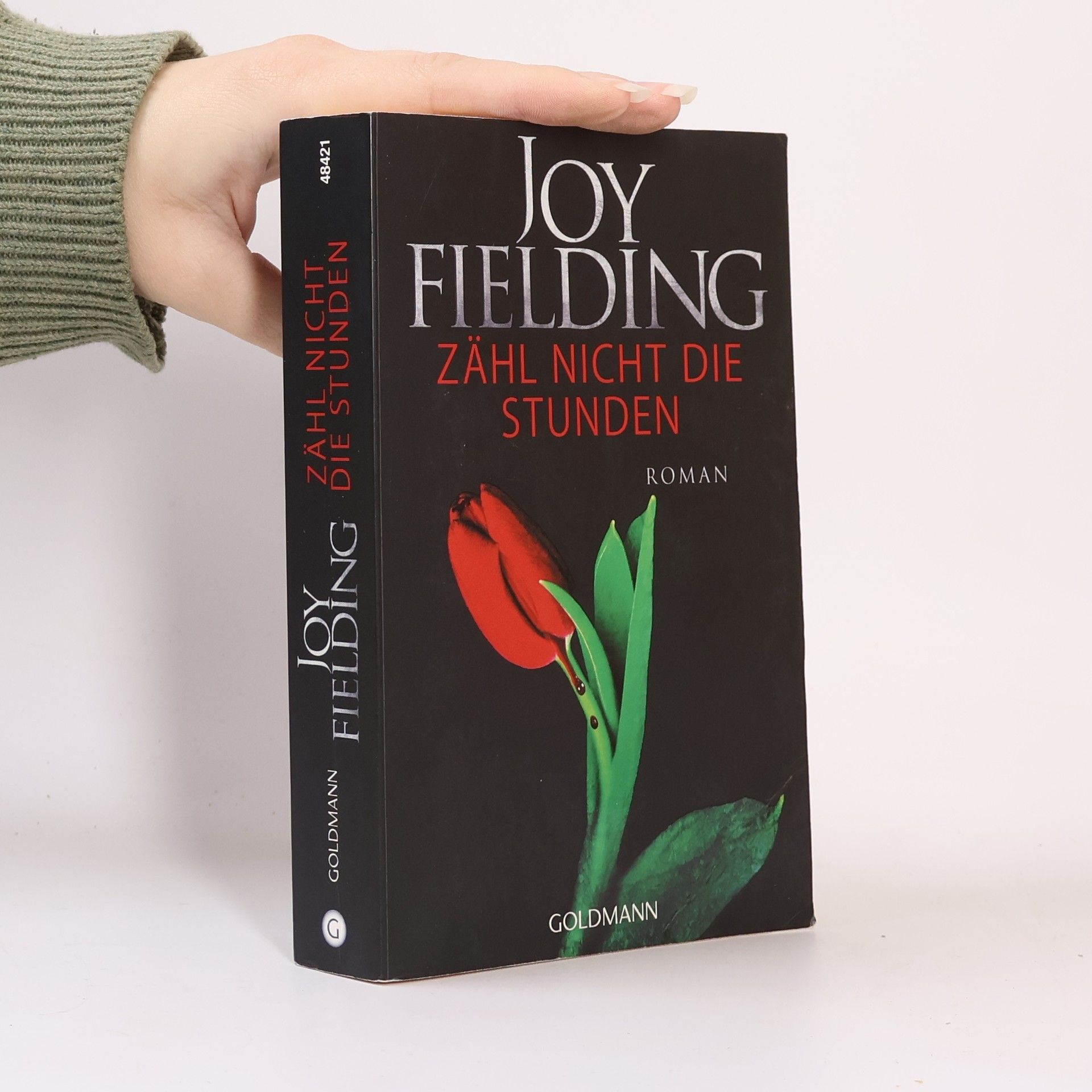 Joy Fielding Zähl nicht die Stunden