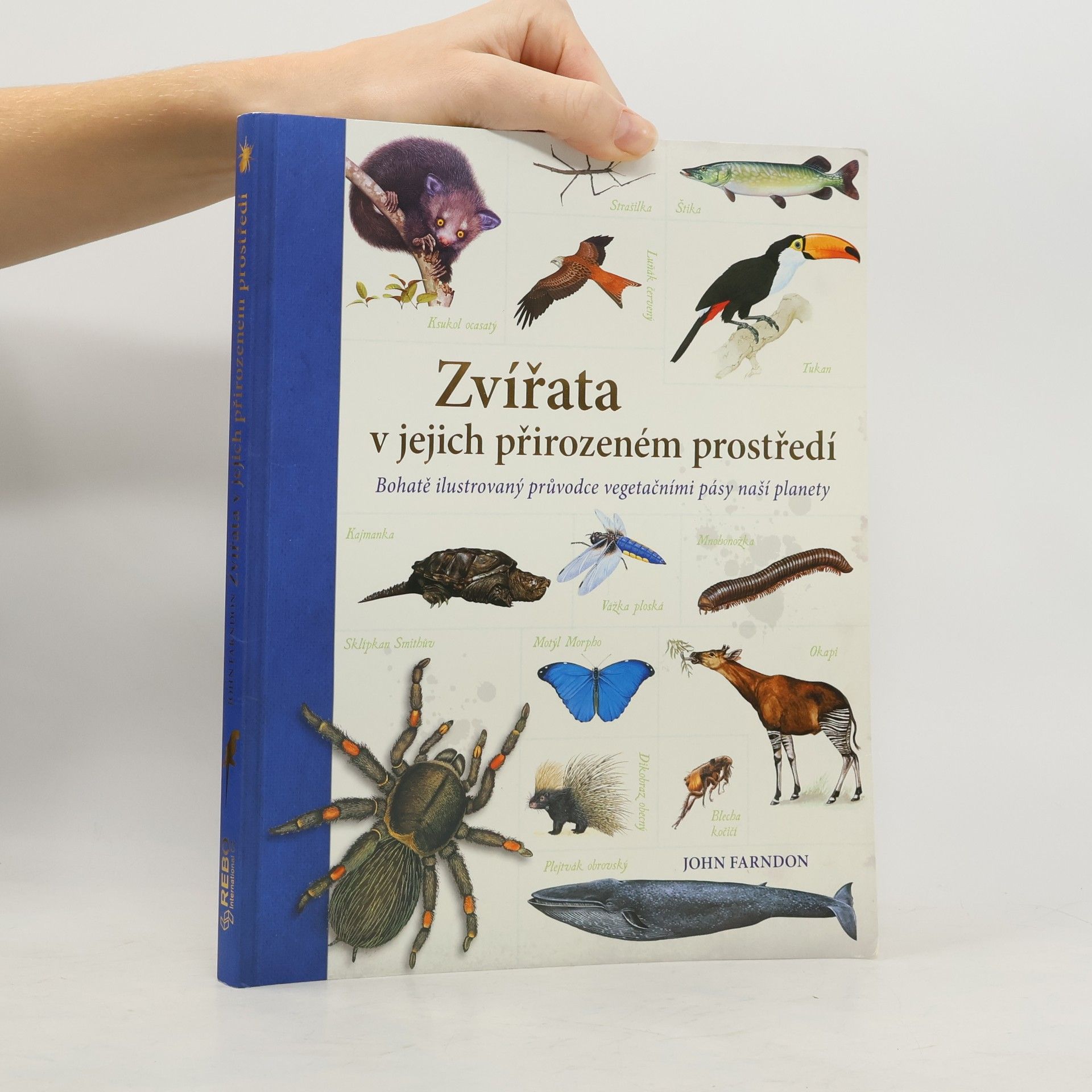 John Farndon Zvířata v jejich přirozeném prostředí
