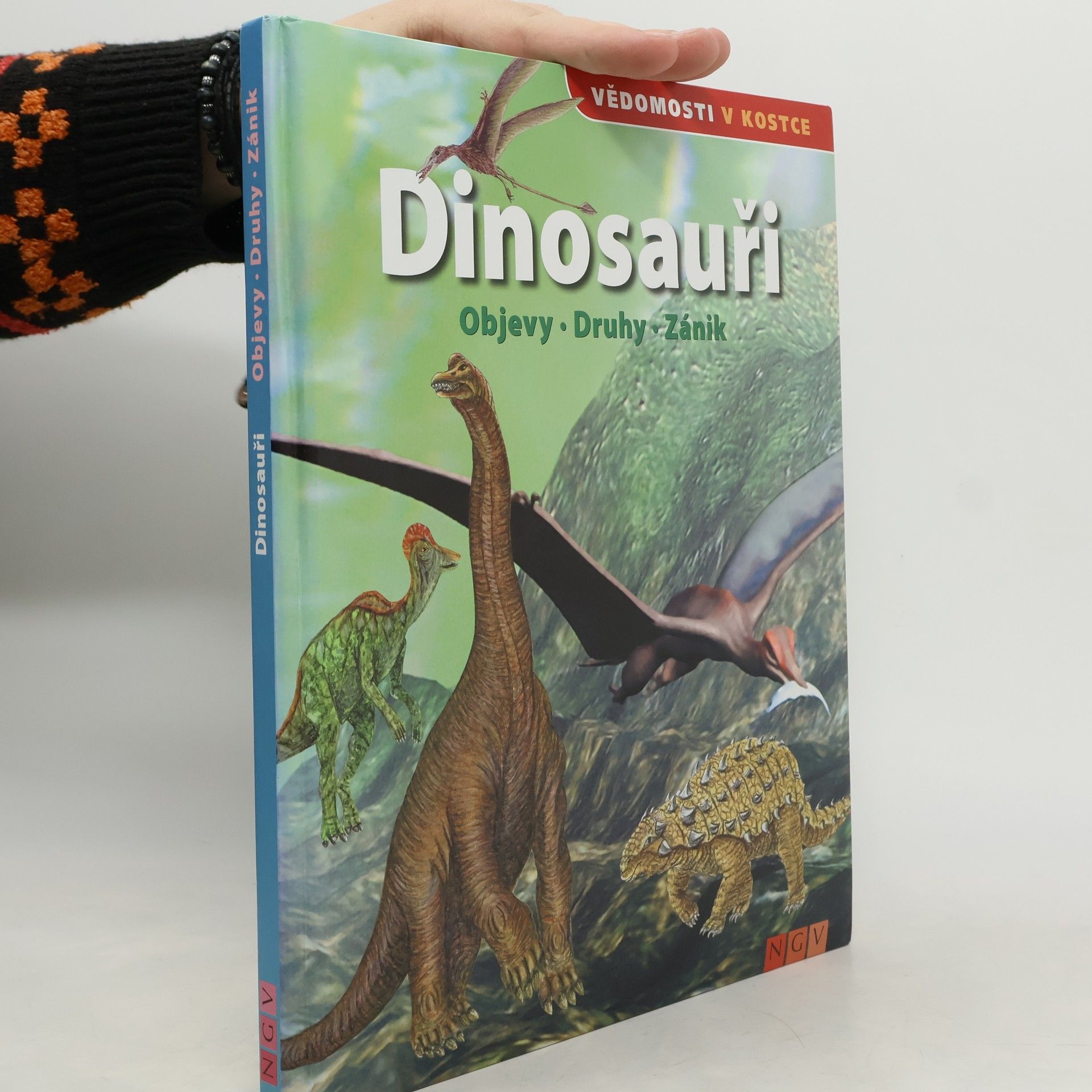 Kolektiv autorů Dinosauři