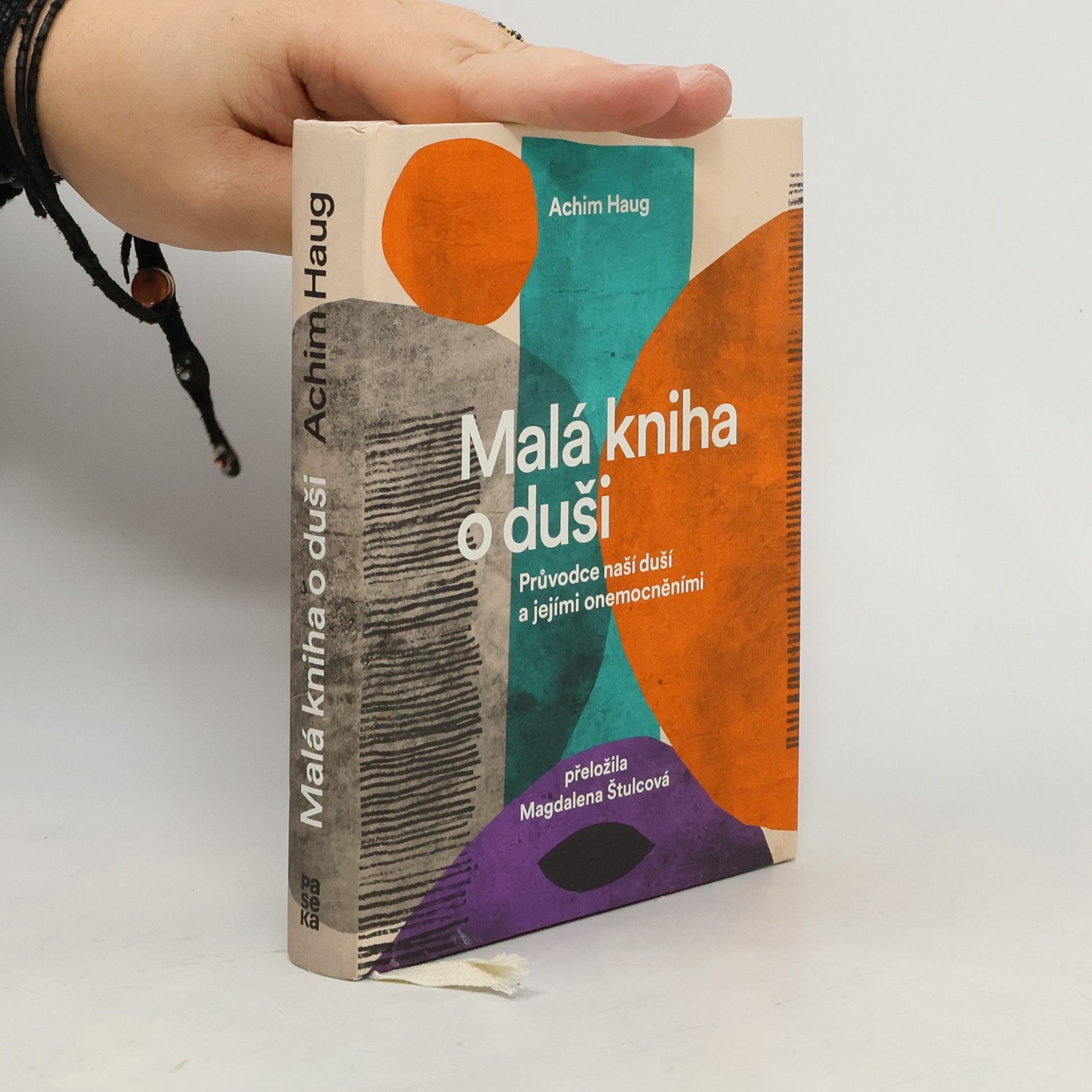 Achim Haug Malá kniha o duši. Průvodce na cesty naší psýchou a jejími nemocemi