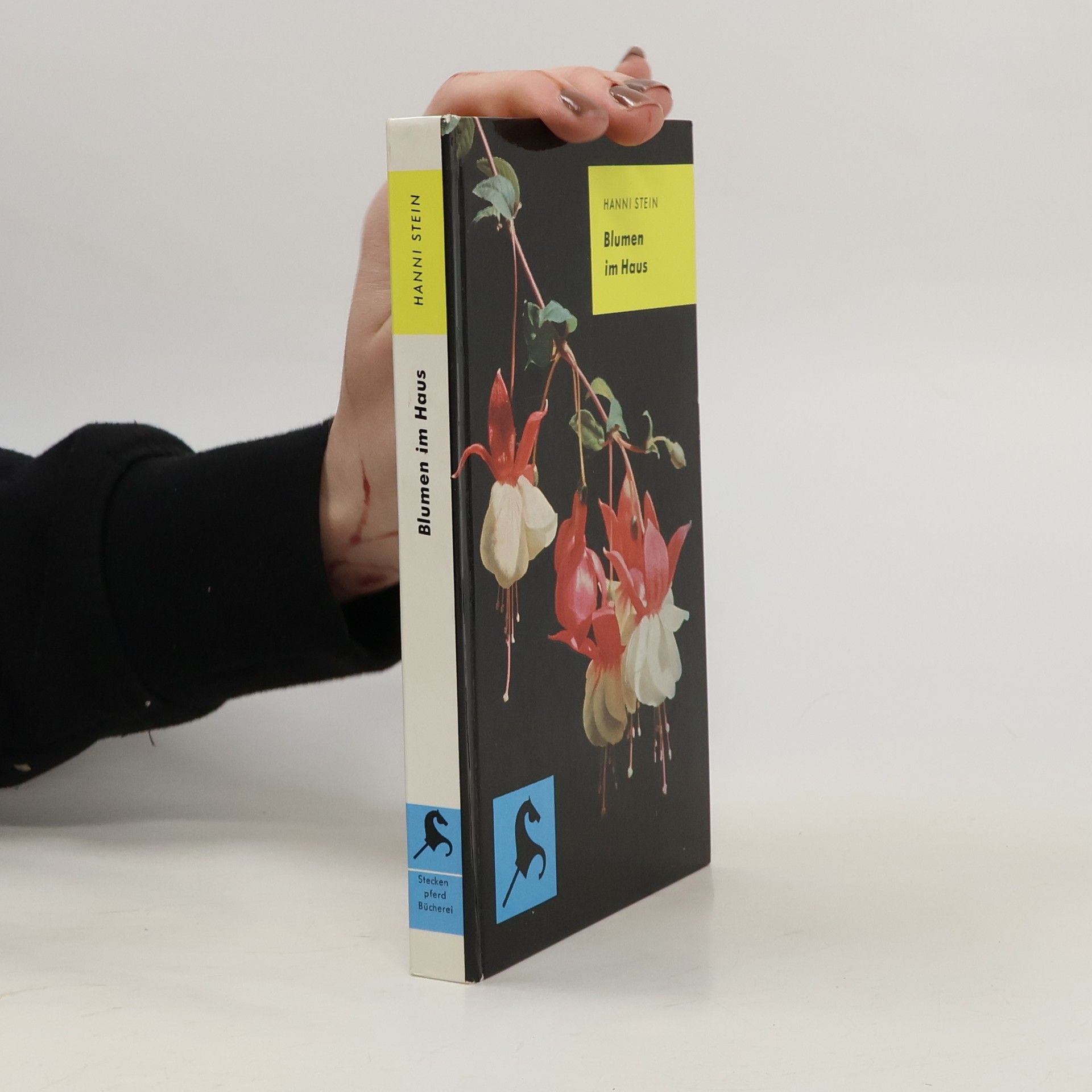Hanni Stein Blumen im Haus