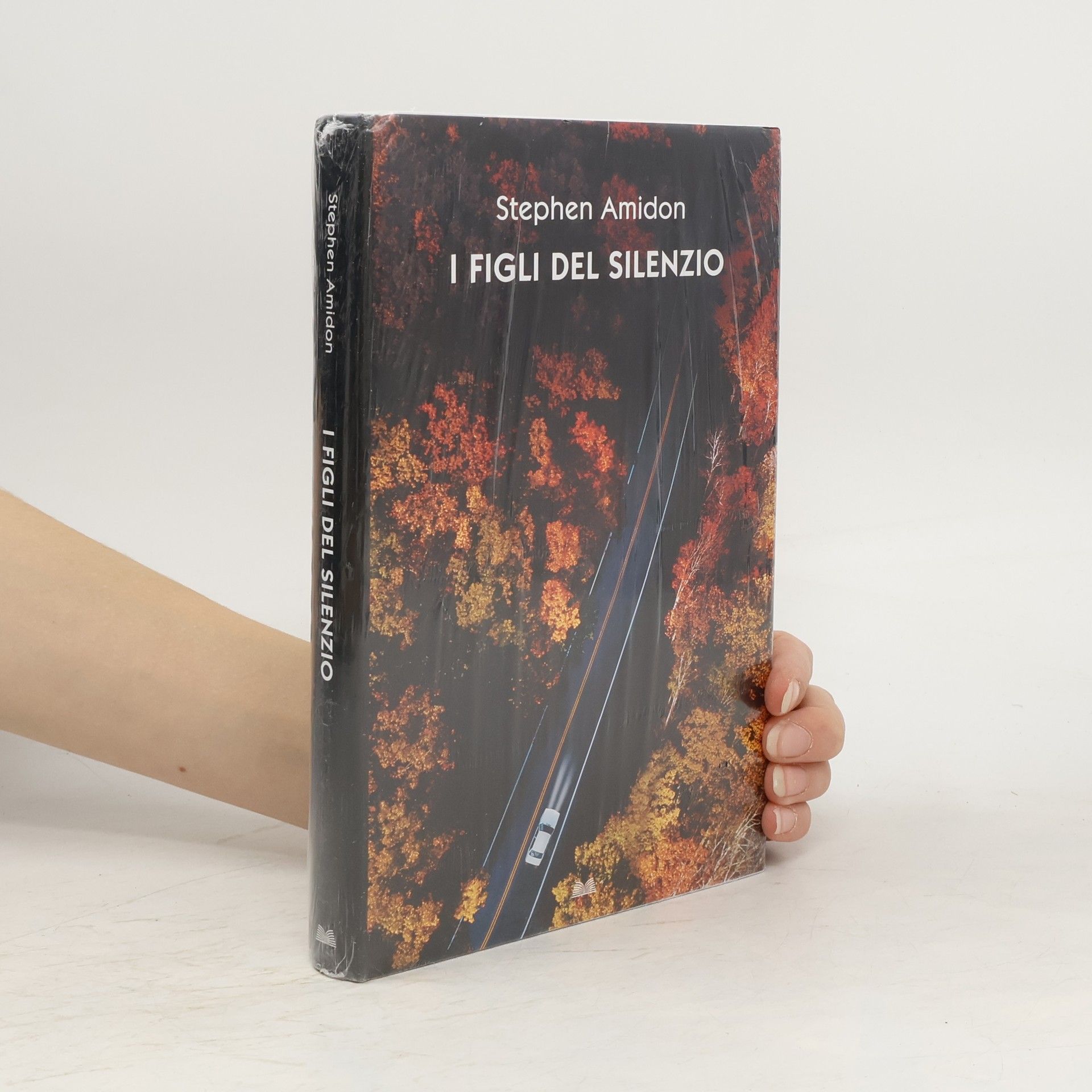 Stephen Amidon I figli del silenzio