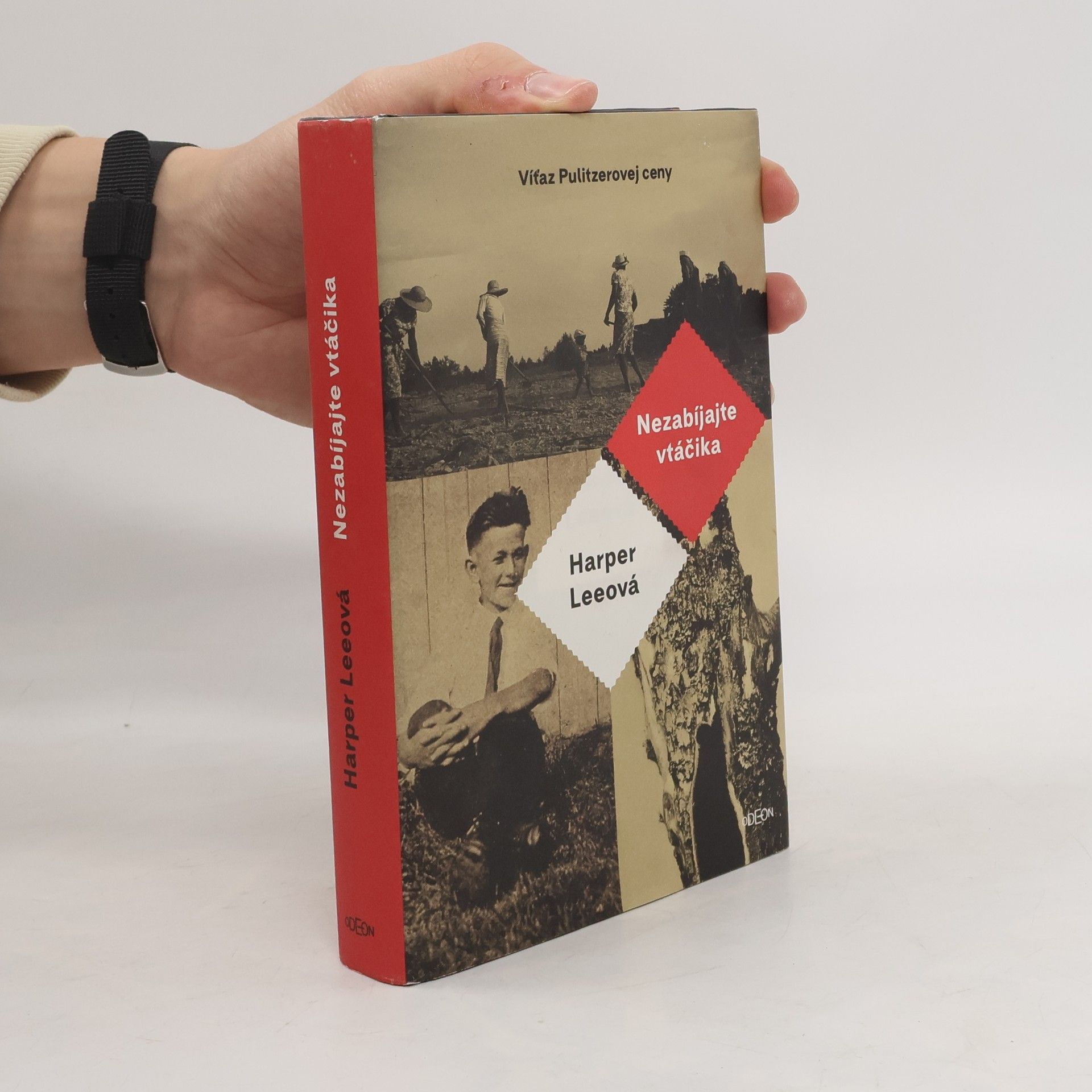 Harper Lee Nezabíjajte vtáčika