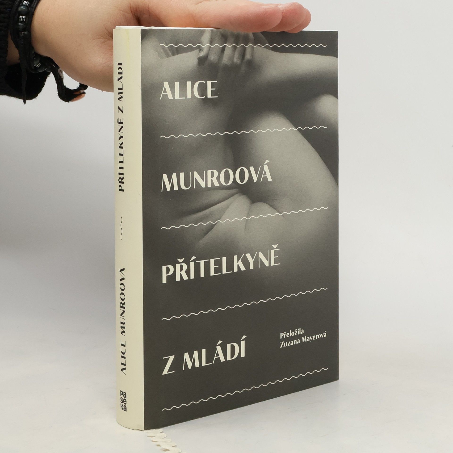 Alice Munro Přítelkyně z mládí