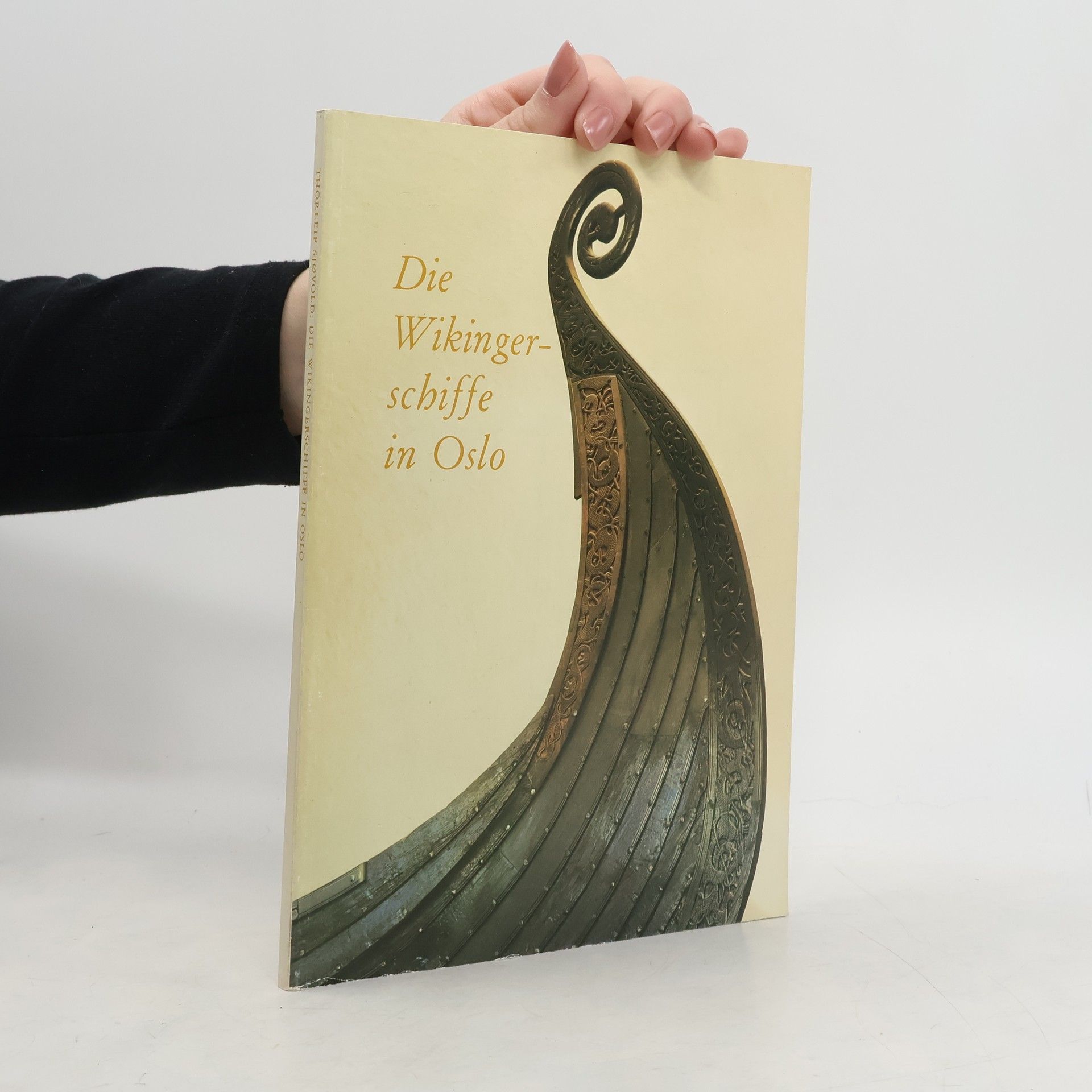 Die Wikinger schiffe in Oslo